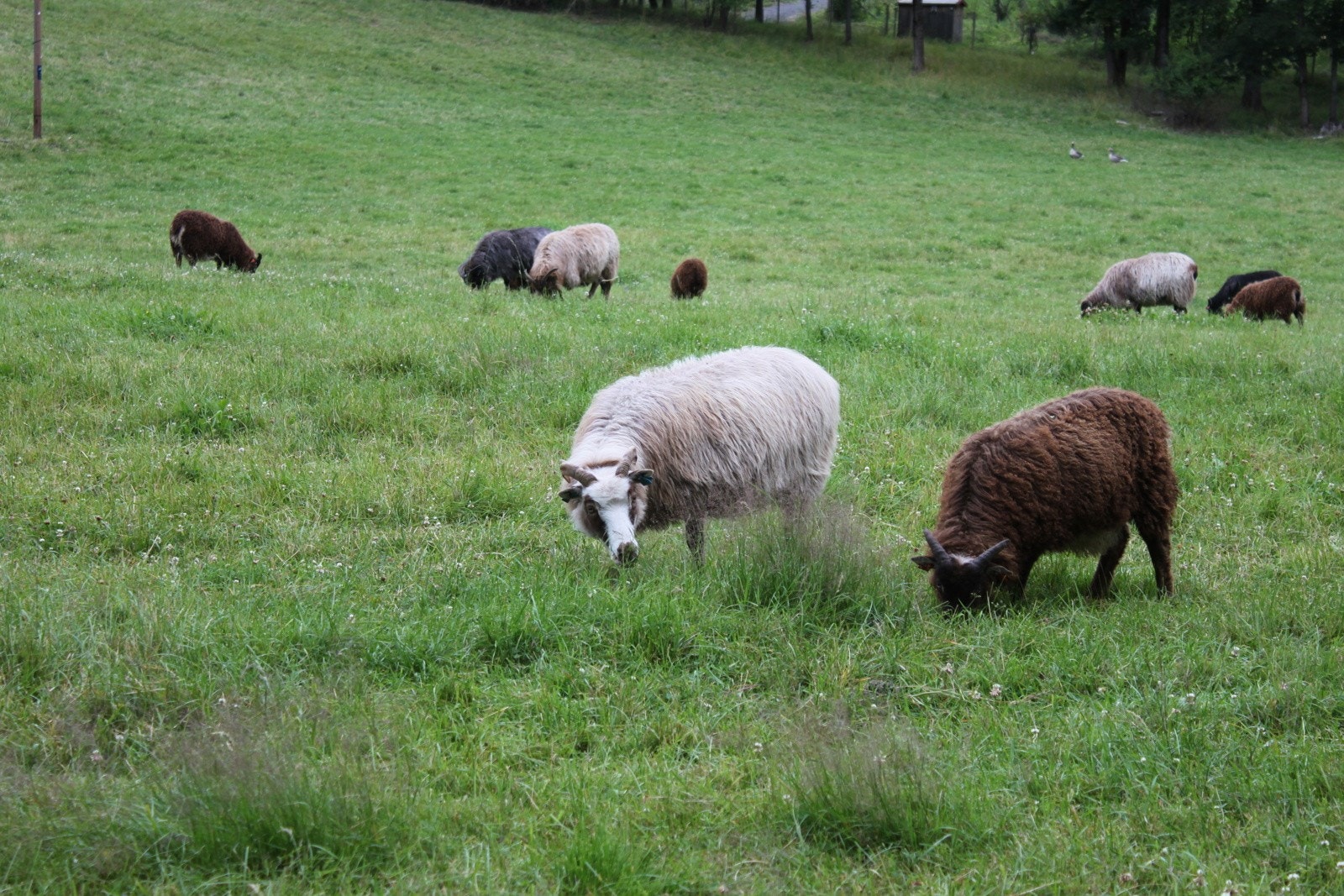 Her bor man omringet av naturens ro, med havbris i luften og vakre turstier rett utenfor døren. Galleribilde