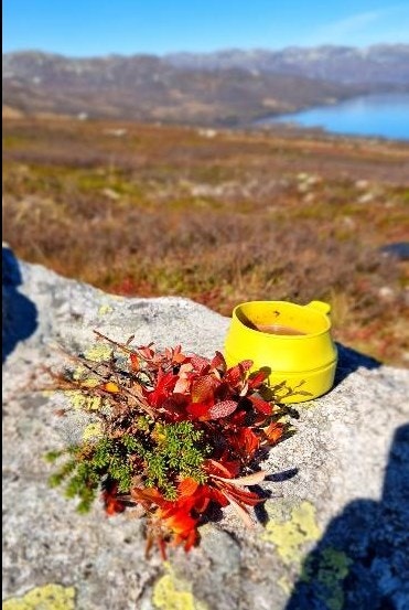 Det er mange fine turområder i nærområdet, med rikelig av naturopplevelser for både store og små. Her finner du turmuligheter som passer for alle. ( Privat foto) Galleribilde
