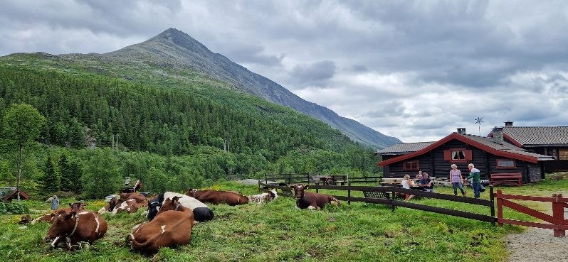 Koselige seteropplevelser i nærområdet.Det er mange fine opplevelser i nærområdet. Ønsker du å oppleve ekte seterliv, finnes det flere koselige setre å velge mellom. (Privat foto) Galleribilde
