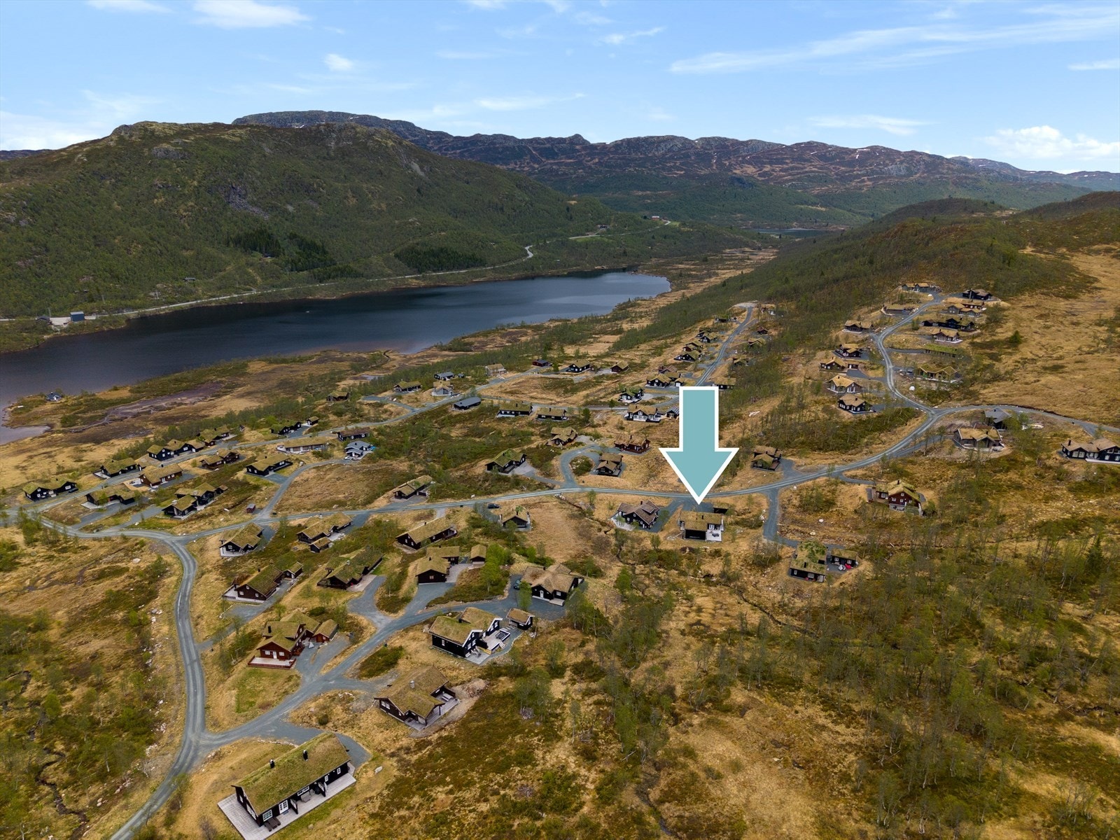 Velkommen til visning ! Galleribilde