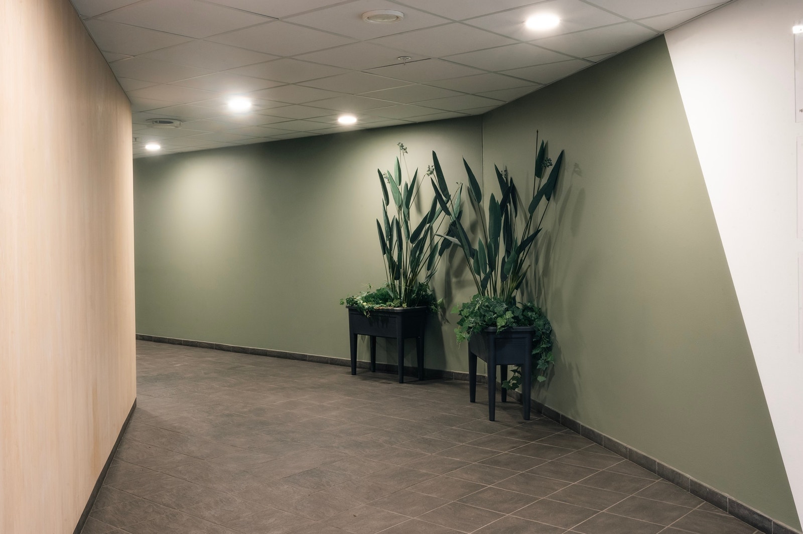 Inngangspartiet Galleribilde