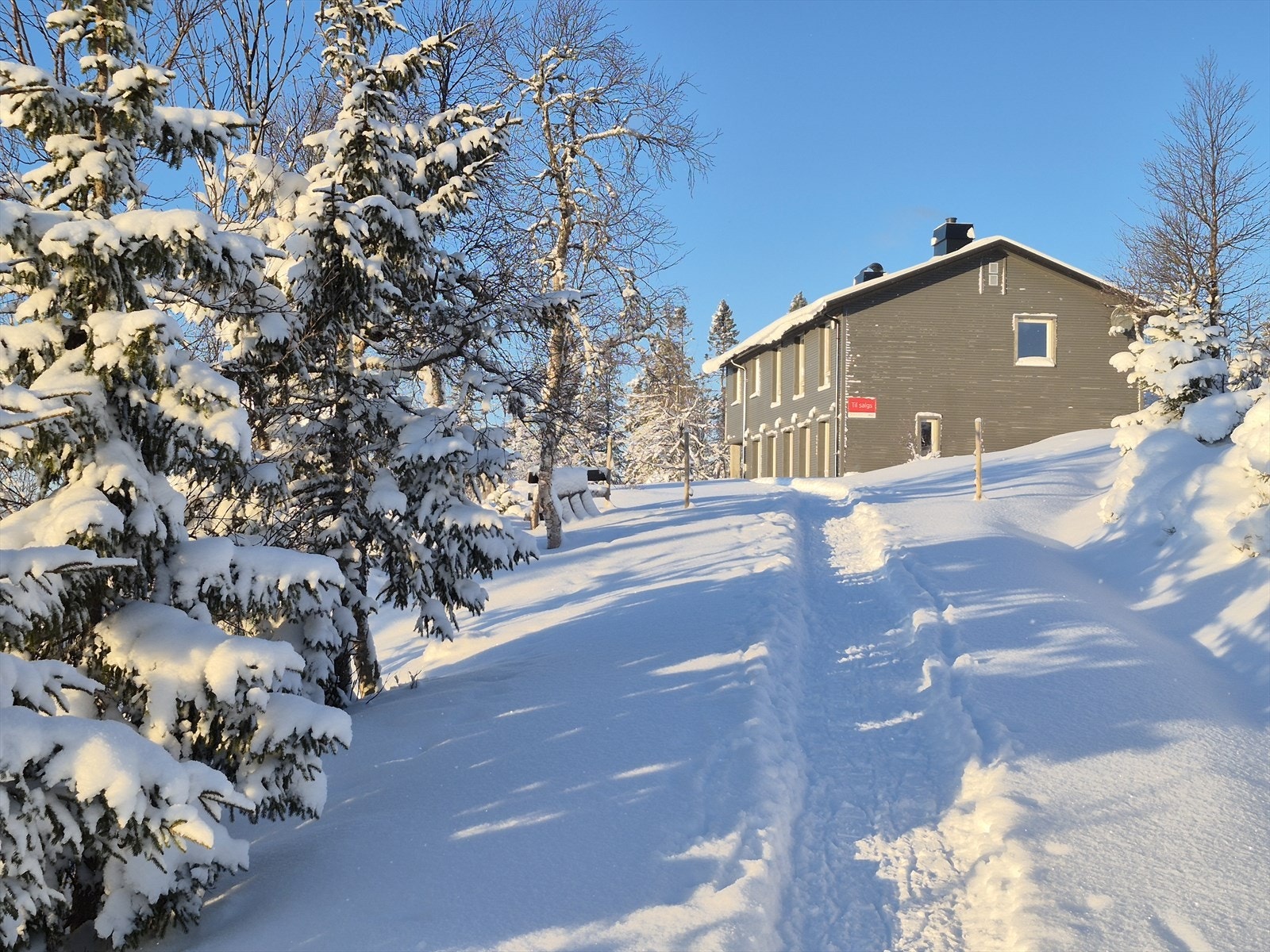 20260107_133657.jpg Galleribilde