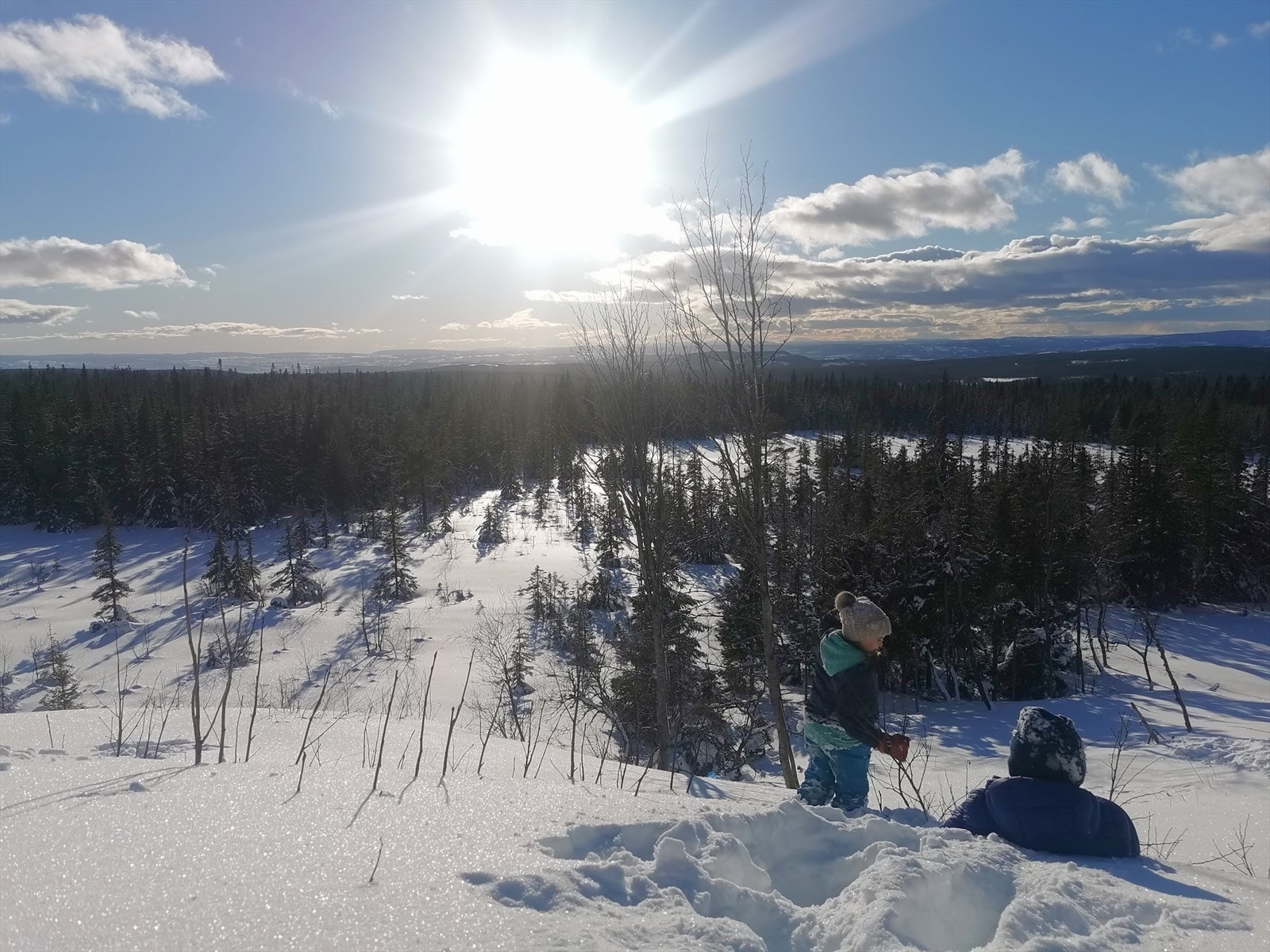 IMG_20220225_154610_edit_905671052903470.jpg Galleribilde