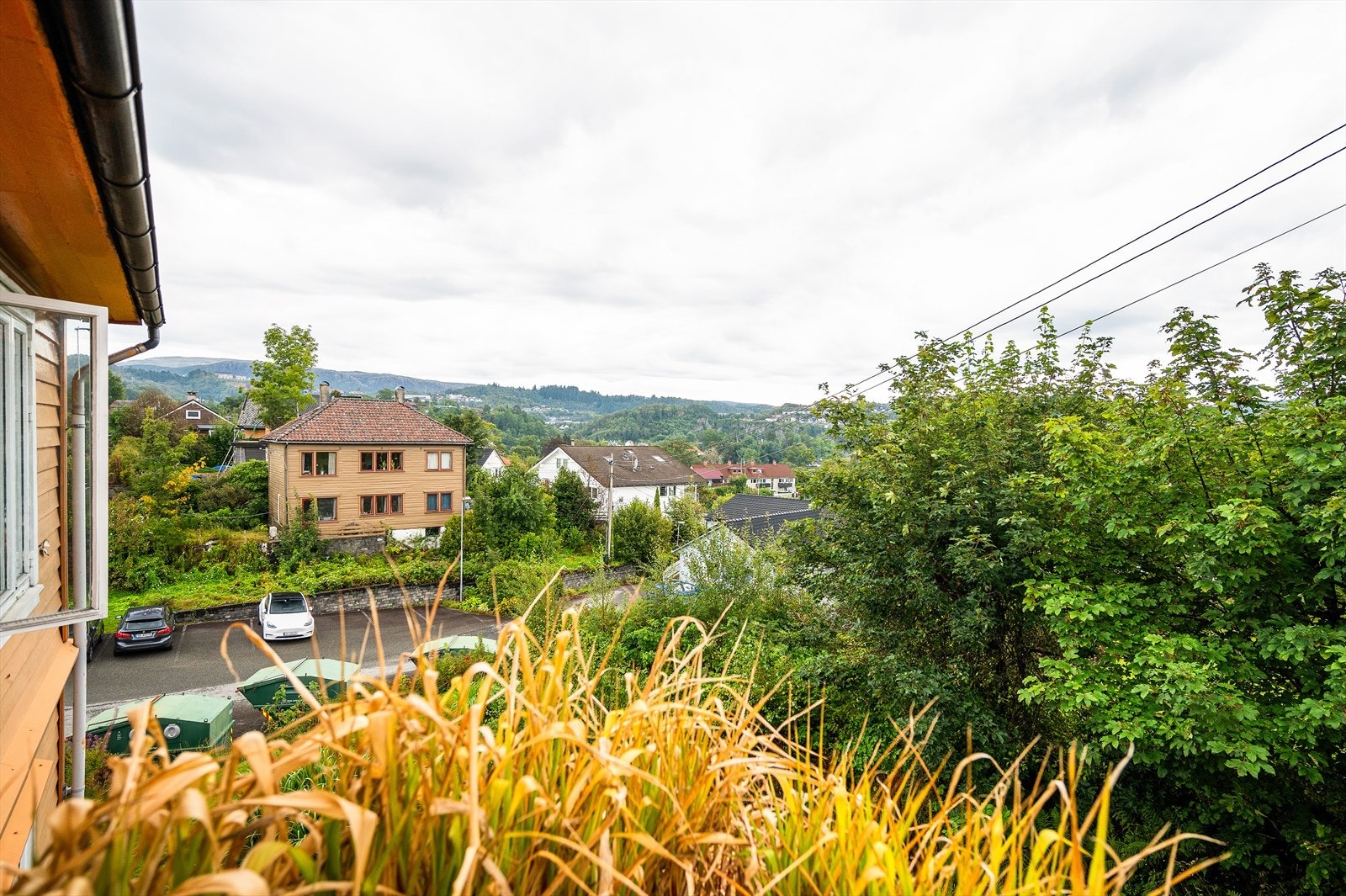 Flott utsikt over nabolaget Galleribilde