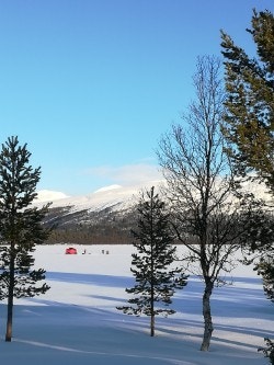 Selgers eget bilde. Galleribilde