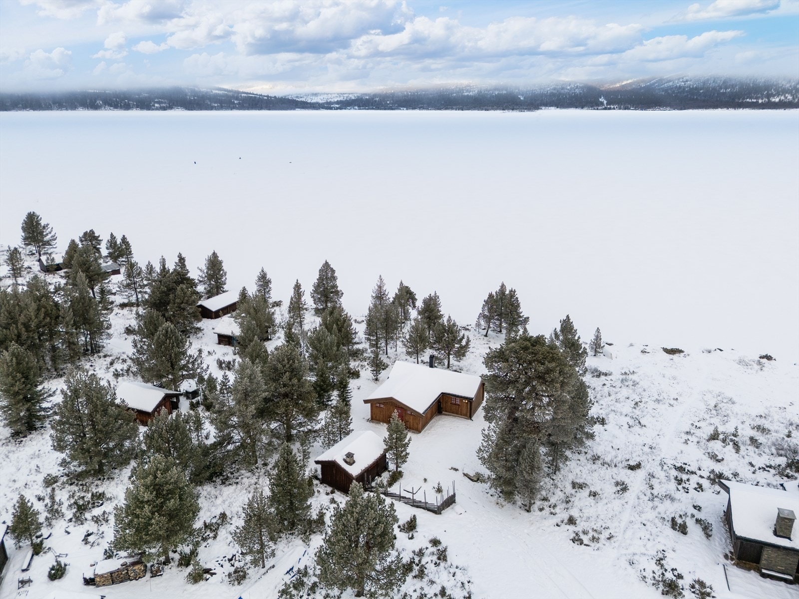 Velkommen til visning - husk å melde deg på! Galleribilde