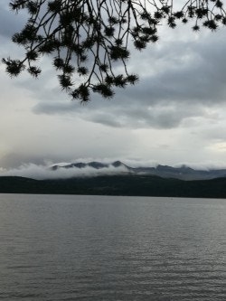 Selgers eget bilde. Galleribilde