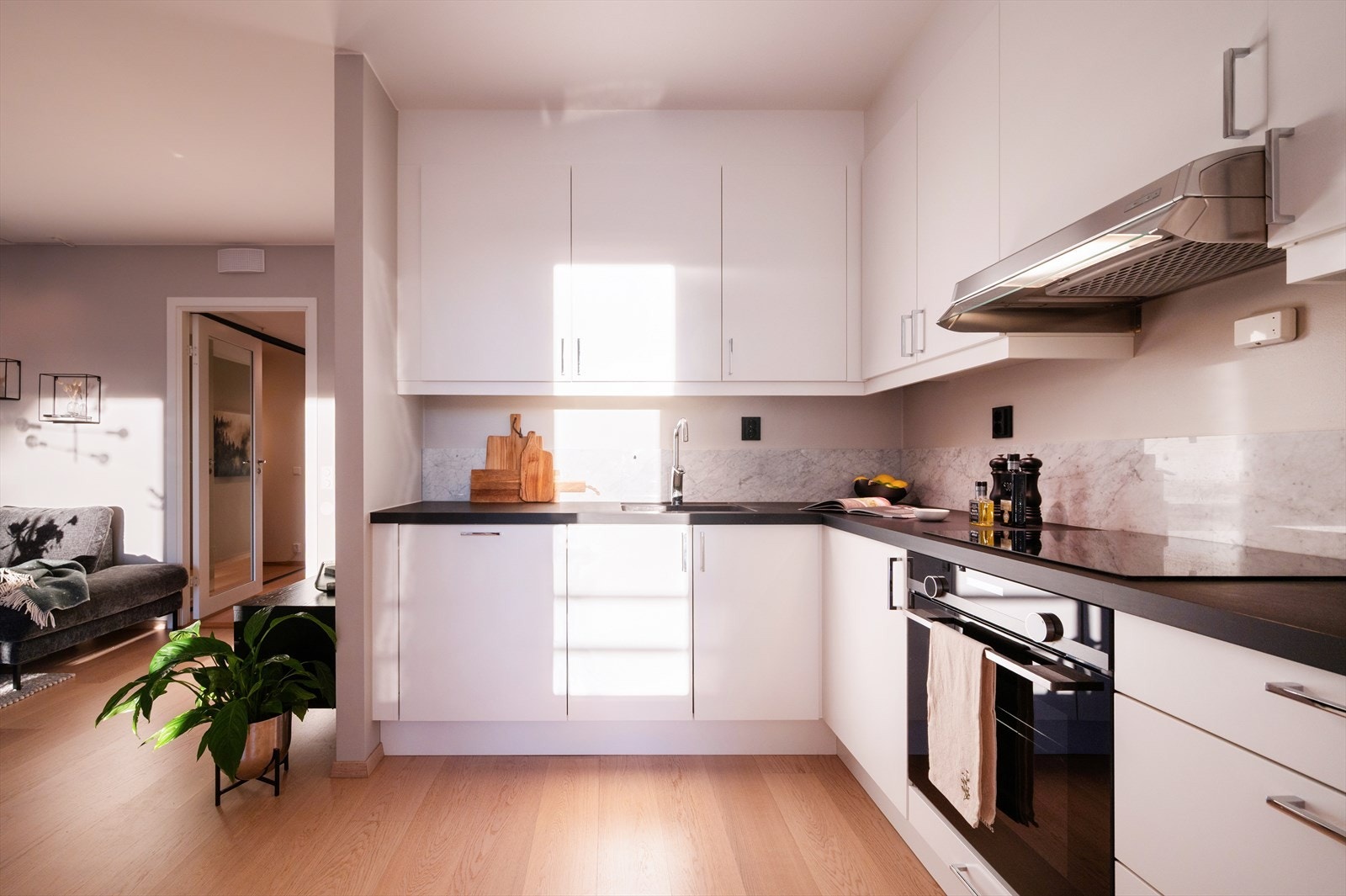 Integrerte hvitevarer bestående av induksjonstopp, stekeovn og oppvaskmaskin. Galleribilde