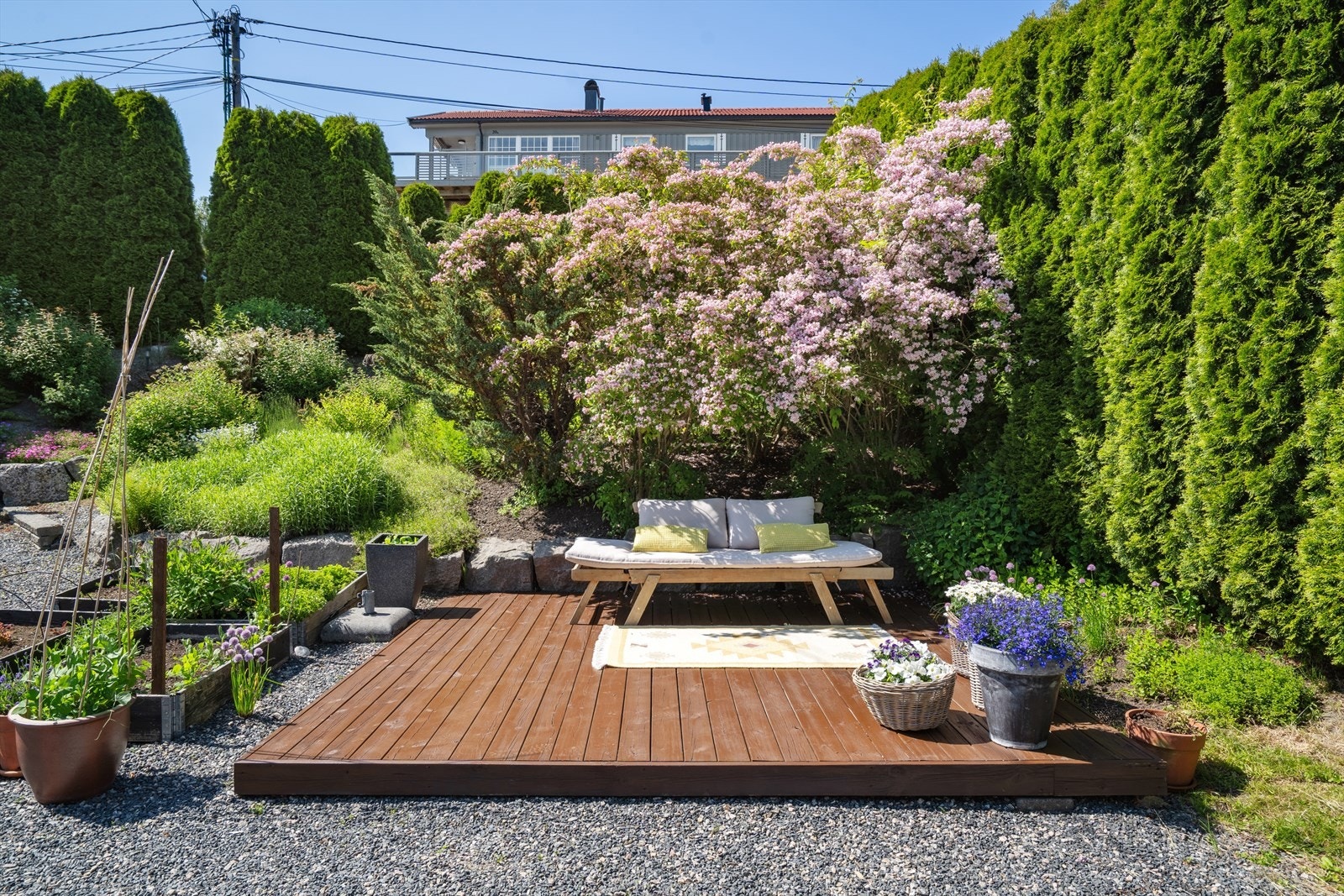 Ulike soner i hagen Galleribilde