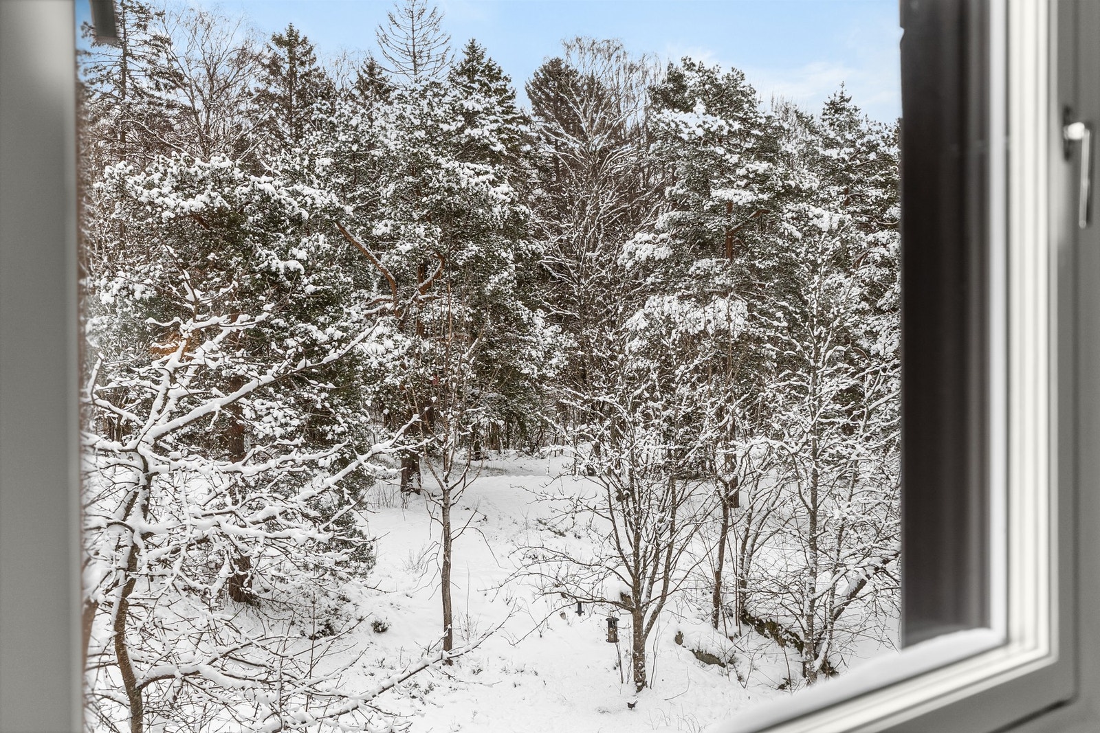 Vinduene slipper inn godt med dagslys uten direkte sol. Dette gir behagelig inneklima og en skjermet følelse som sjelden er å finne i byen Galleribilde