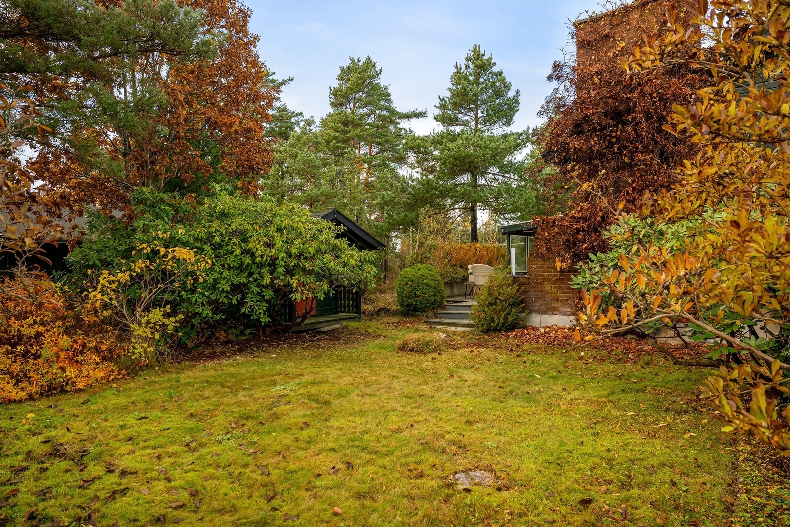 Skjermet hage. Galleribilde