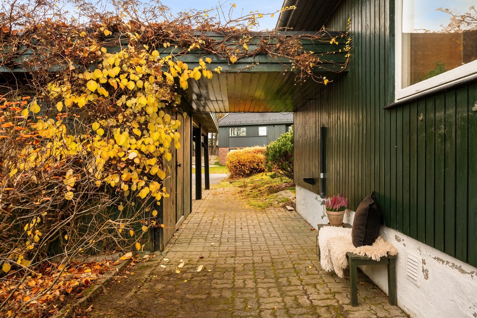 Hyggelig opparbeidet uterom ved inngangspartiet. Galleribilde
