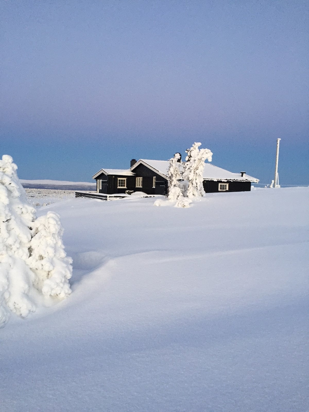 Blinkskudd av selger en vakker vinterdag på Sjusjøen. Galleribilde