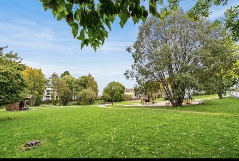 Området Galleribilde