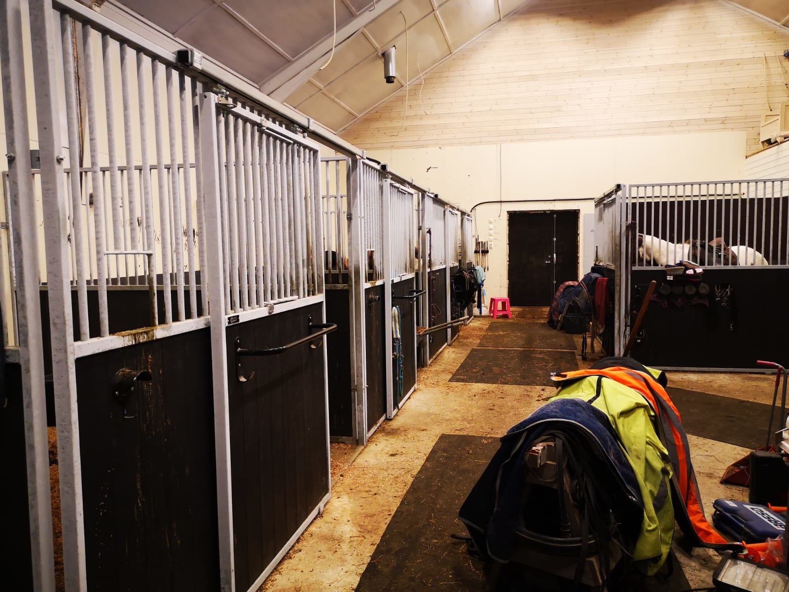 6 stallbokser Galleribilde