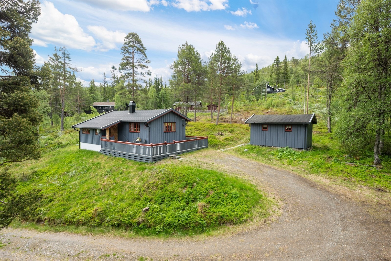 Hytta sommerstid. Galleribilde