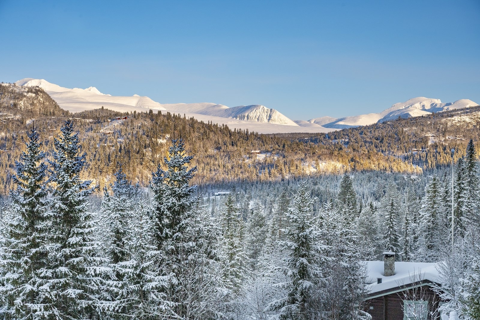 Velkommen på visning i svært flotte omgivelser! Galleribilde