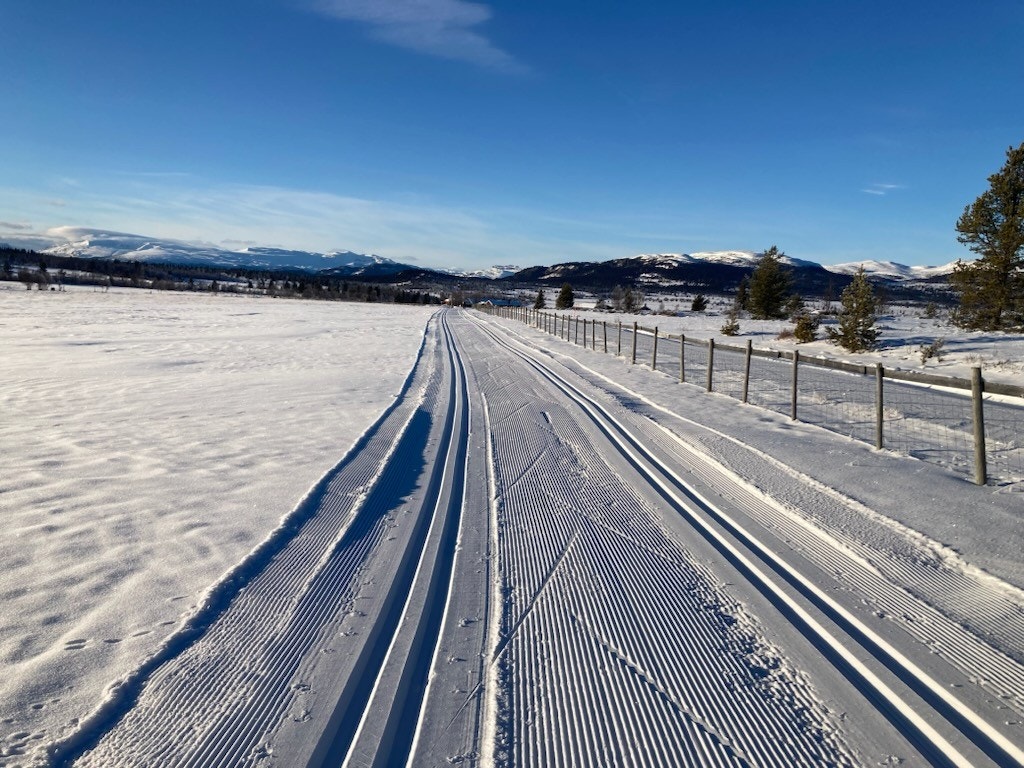 Skiløype 150 meter unna. (Eget foto) Galleribilde