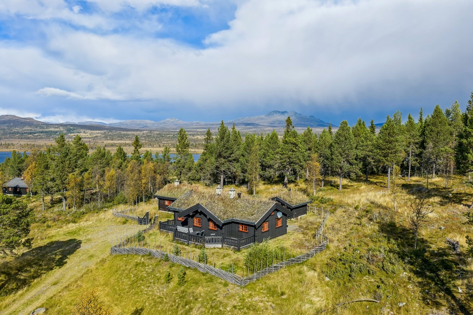 Velkommen til en hyggelig visning! Galleribilde