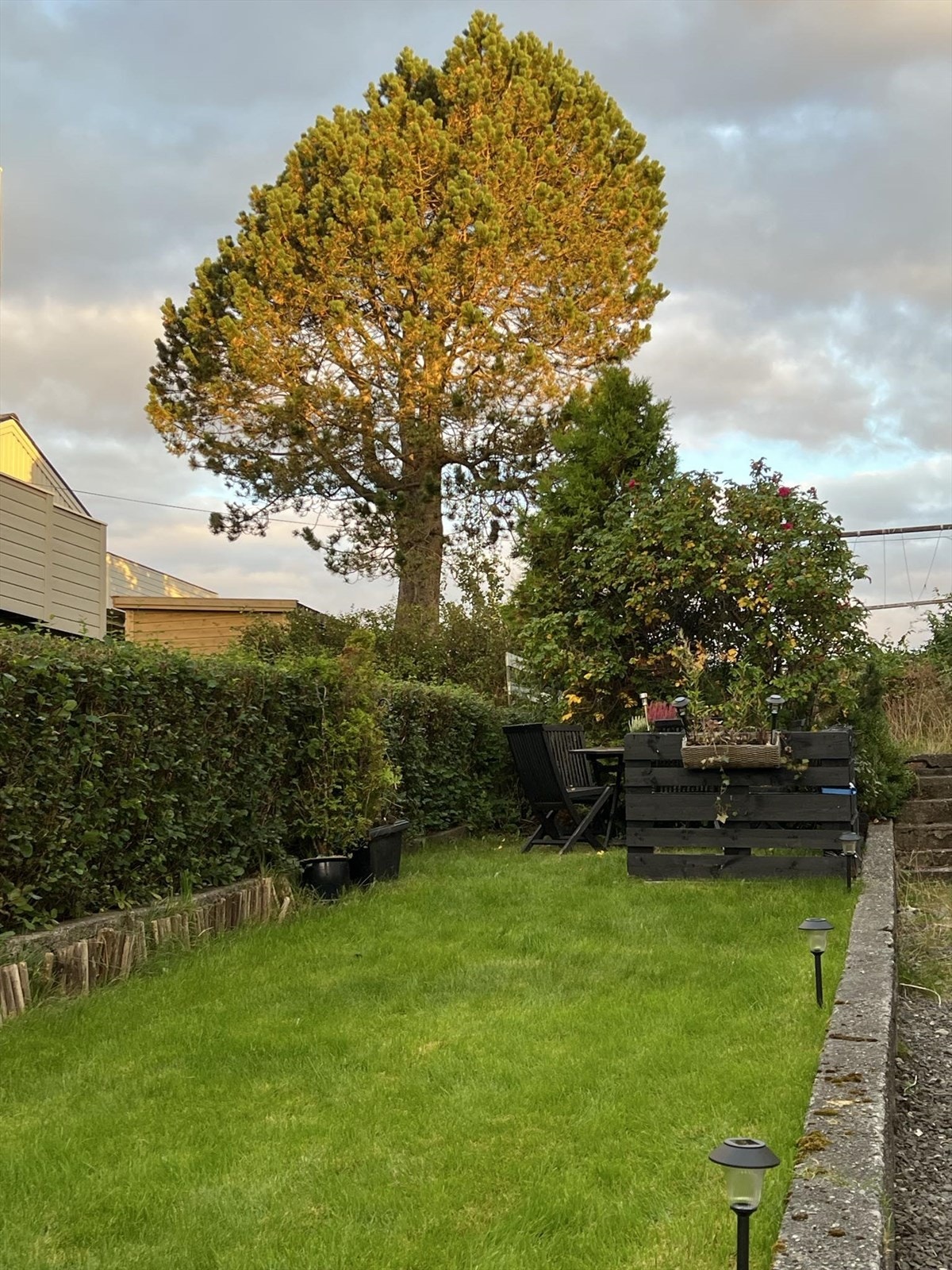 Selgers bilder Galleribilde