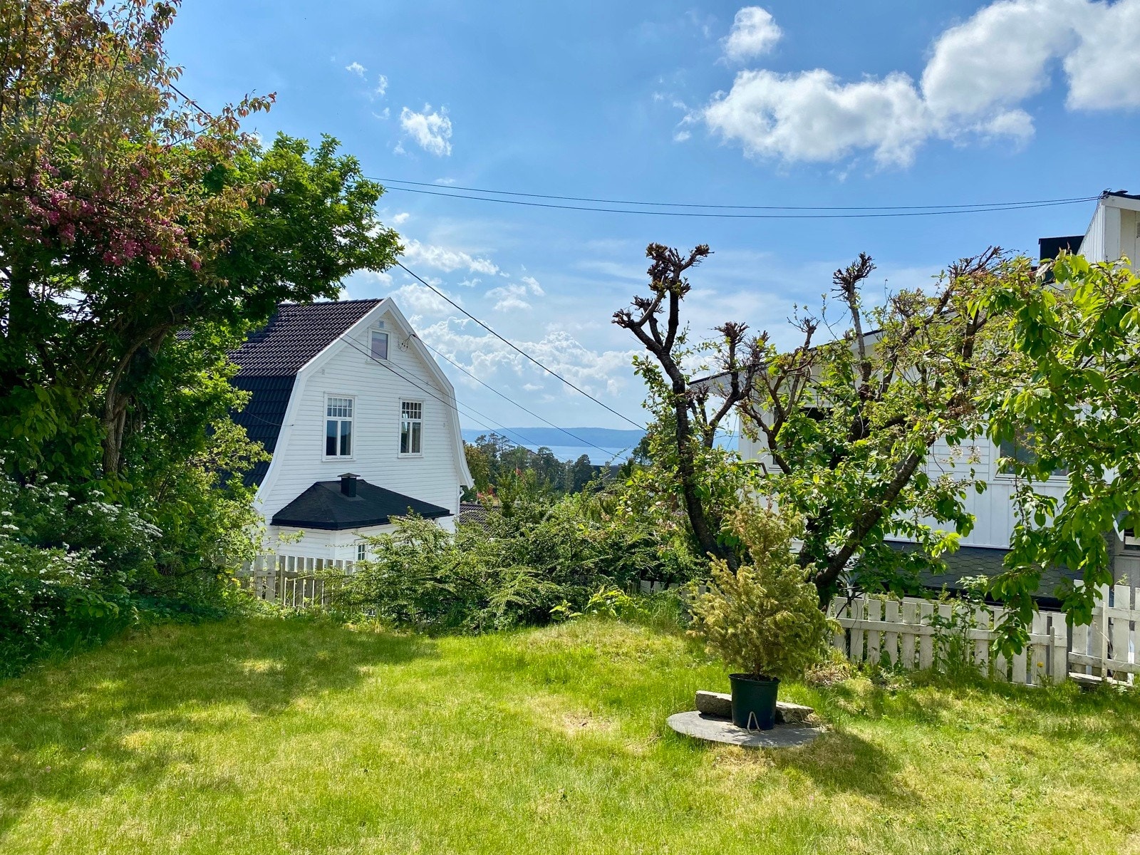 Selgers egne bilder Galleribilde