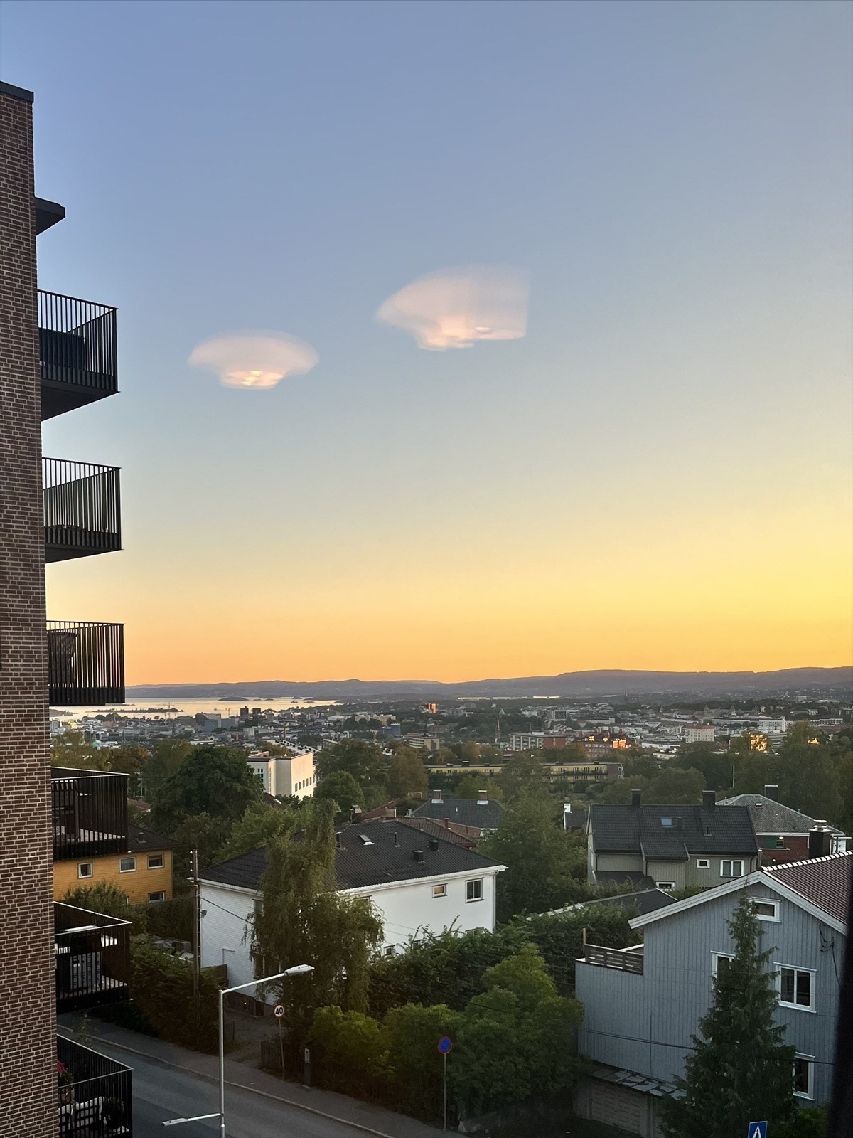 Selgers sommerbilde. Galleribilde