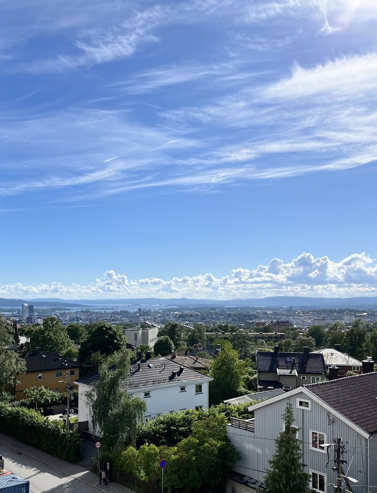 Selgers sommerbilde. Galleribilde