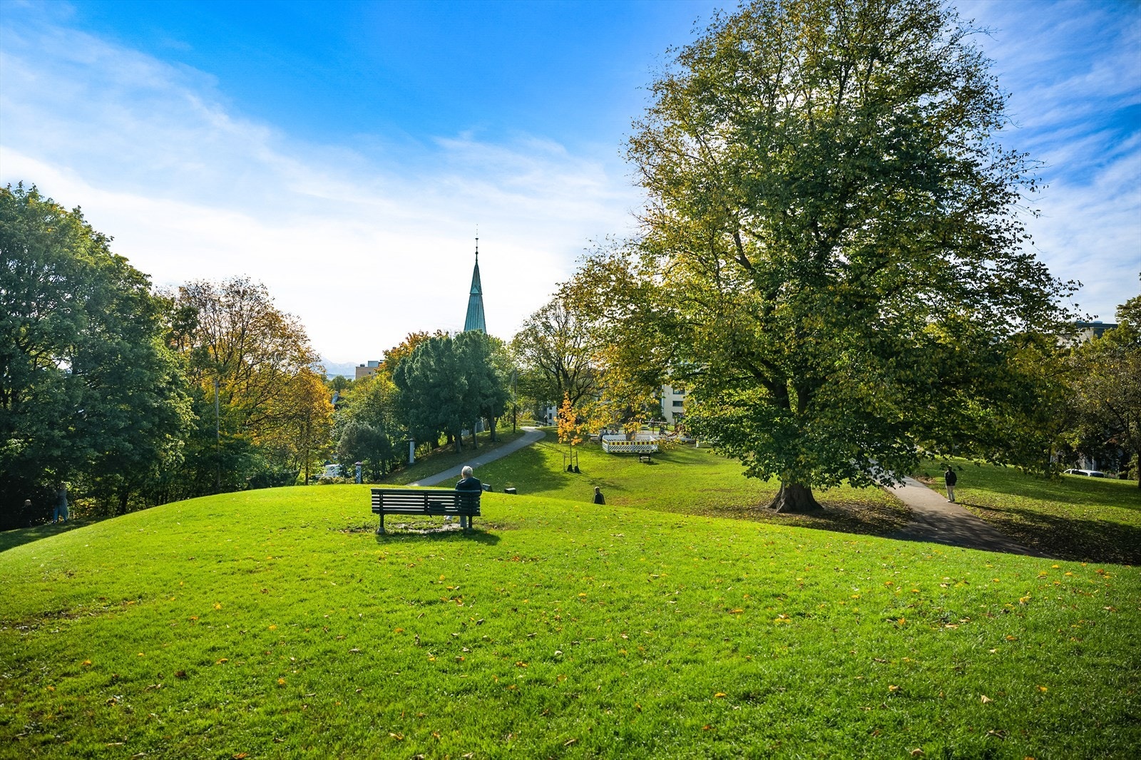Fra leiligheten er det kort vei til parker og grøntområder Galleribilde