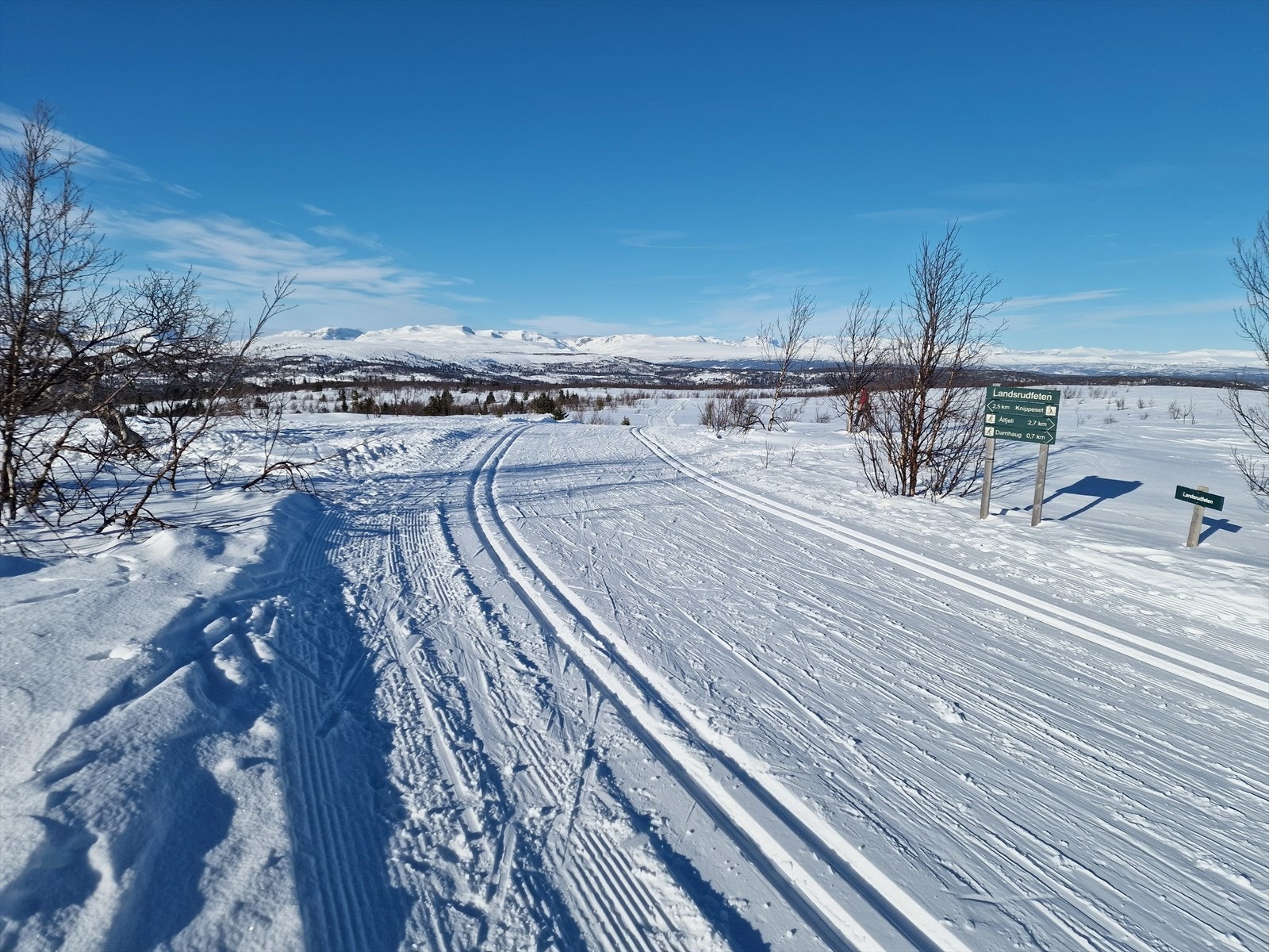 Det er et imponerende løypenett ca. 400 m fra hytteveggen med mulighet for å gå opp til toppunktene Syni, Landsrudfeten, Storhovd og Ålfjell. (Selgers foto) Galleribilde