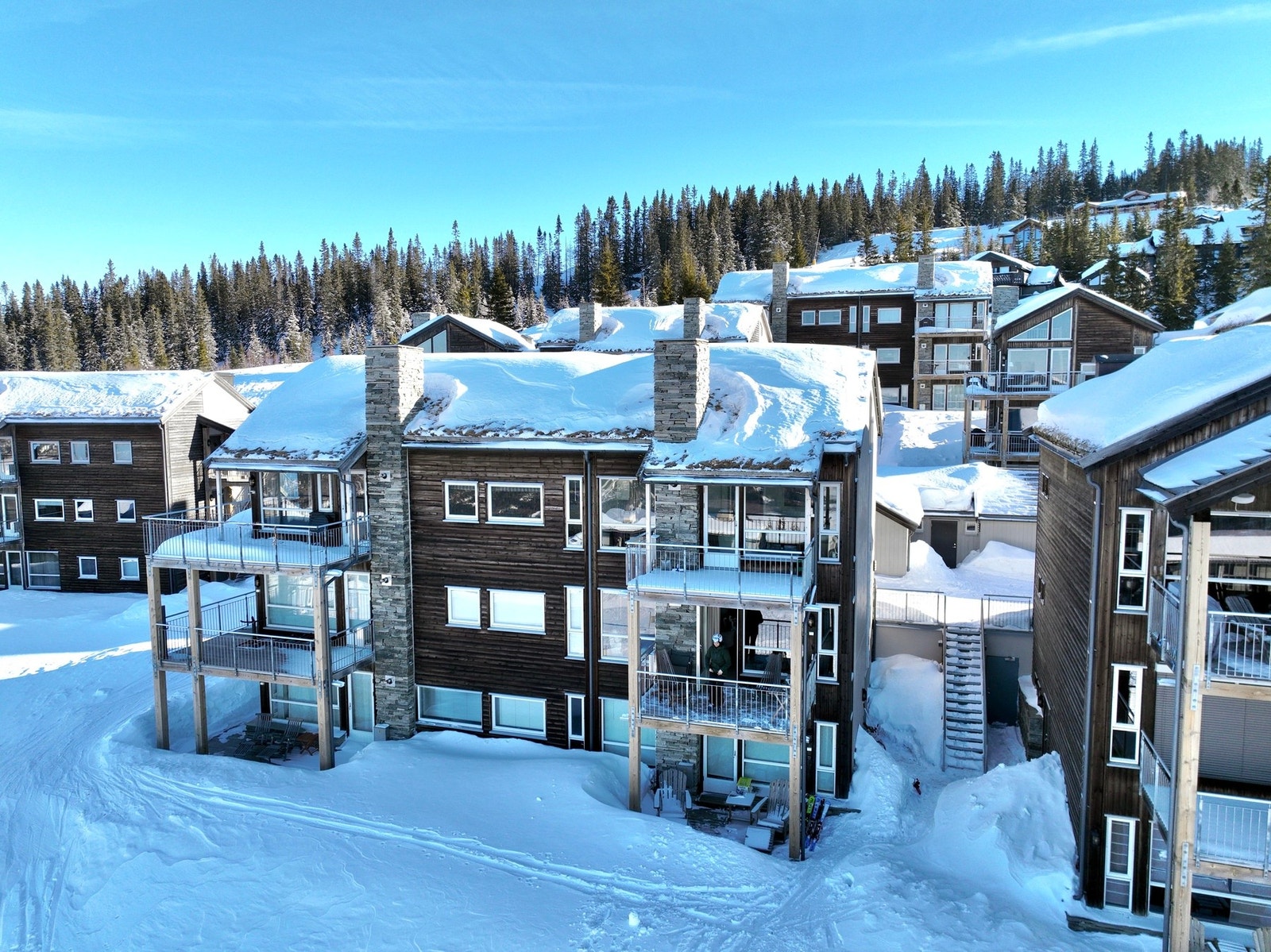 Velkommen til visning! Galleribilde