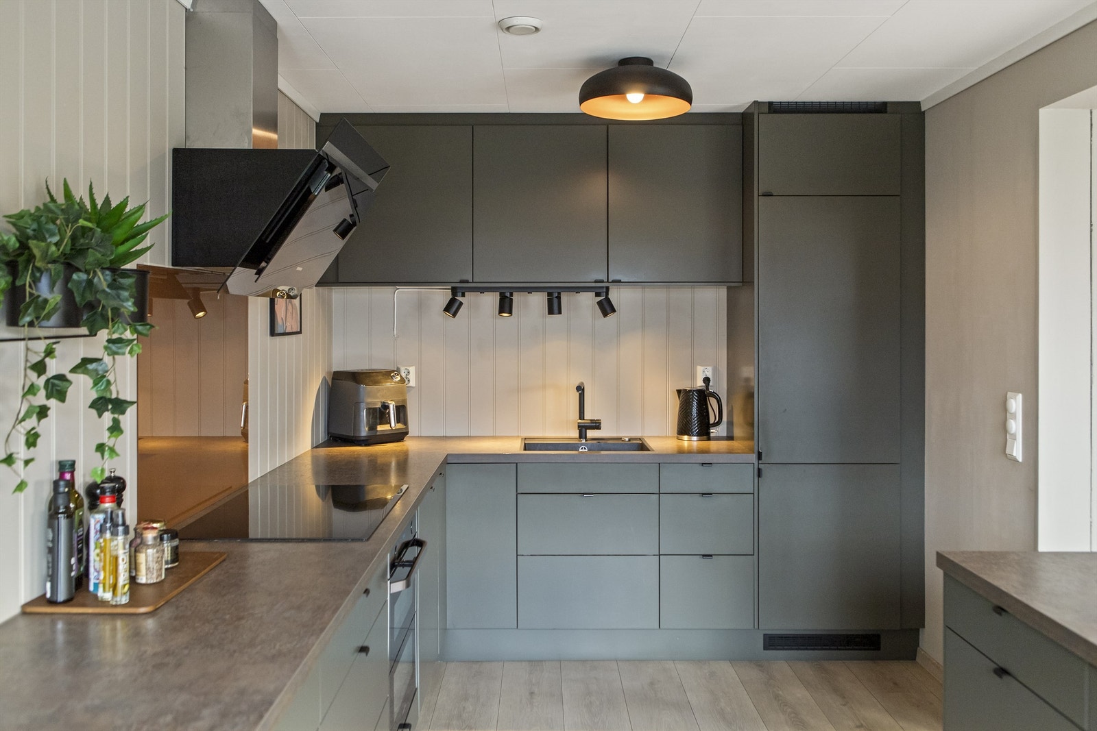 Alle hvitevarer er integrert. Galleribilde