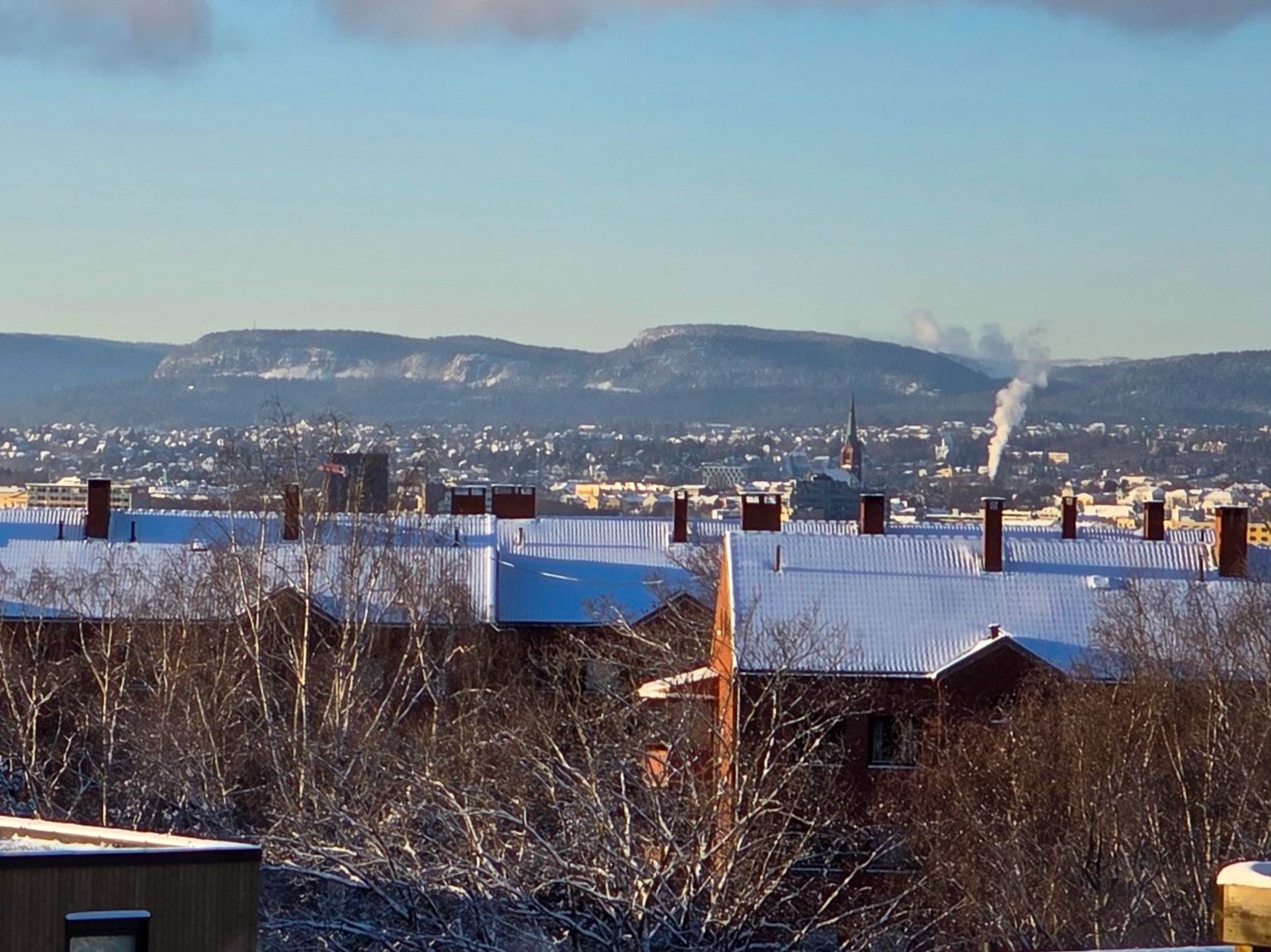 Bilde tatt av selger Galleribilde