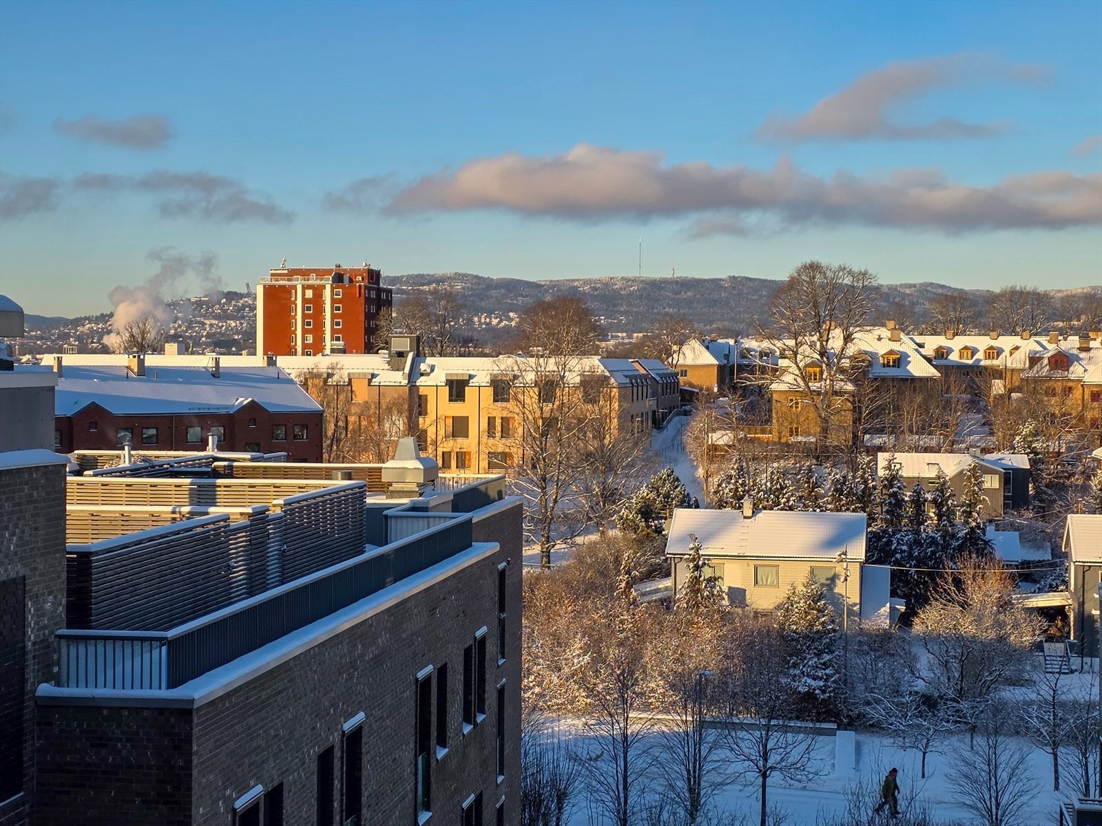 Bilde tatt av selger Galleribilde