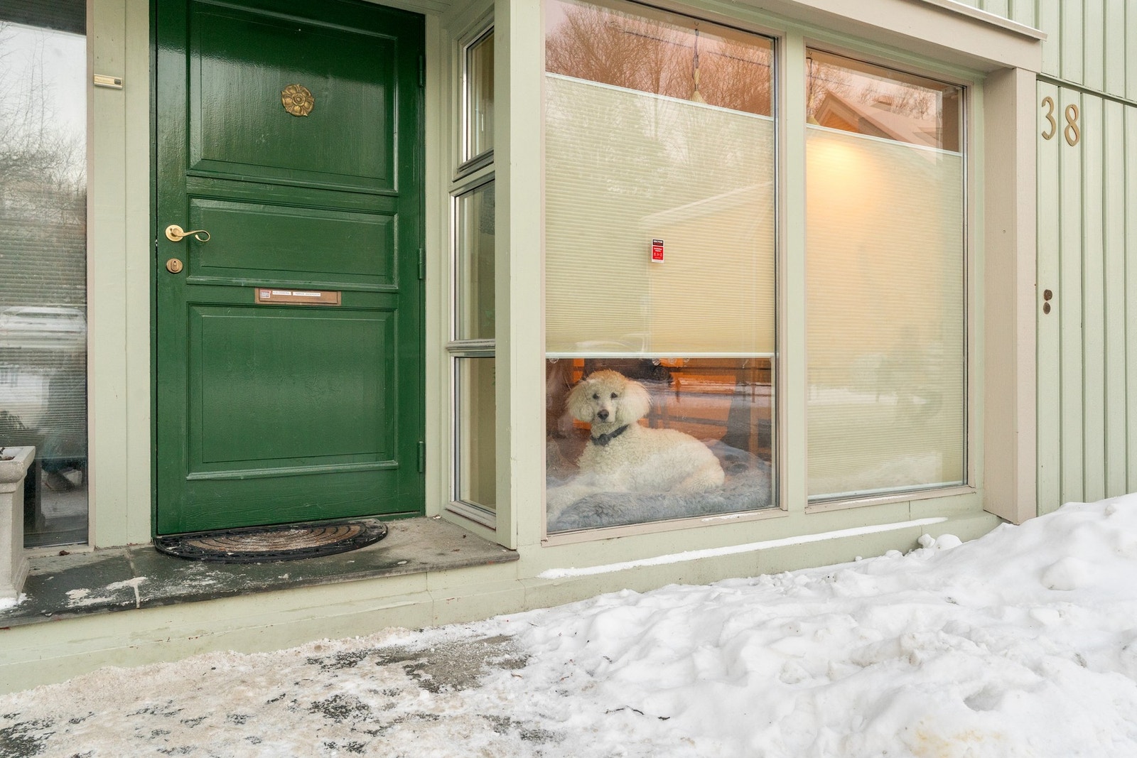 Velkommen inn! Galleribilde