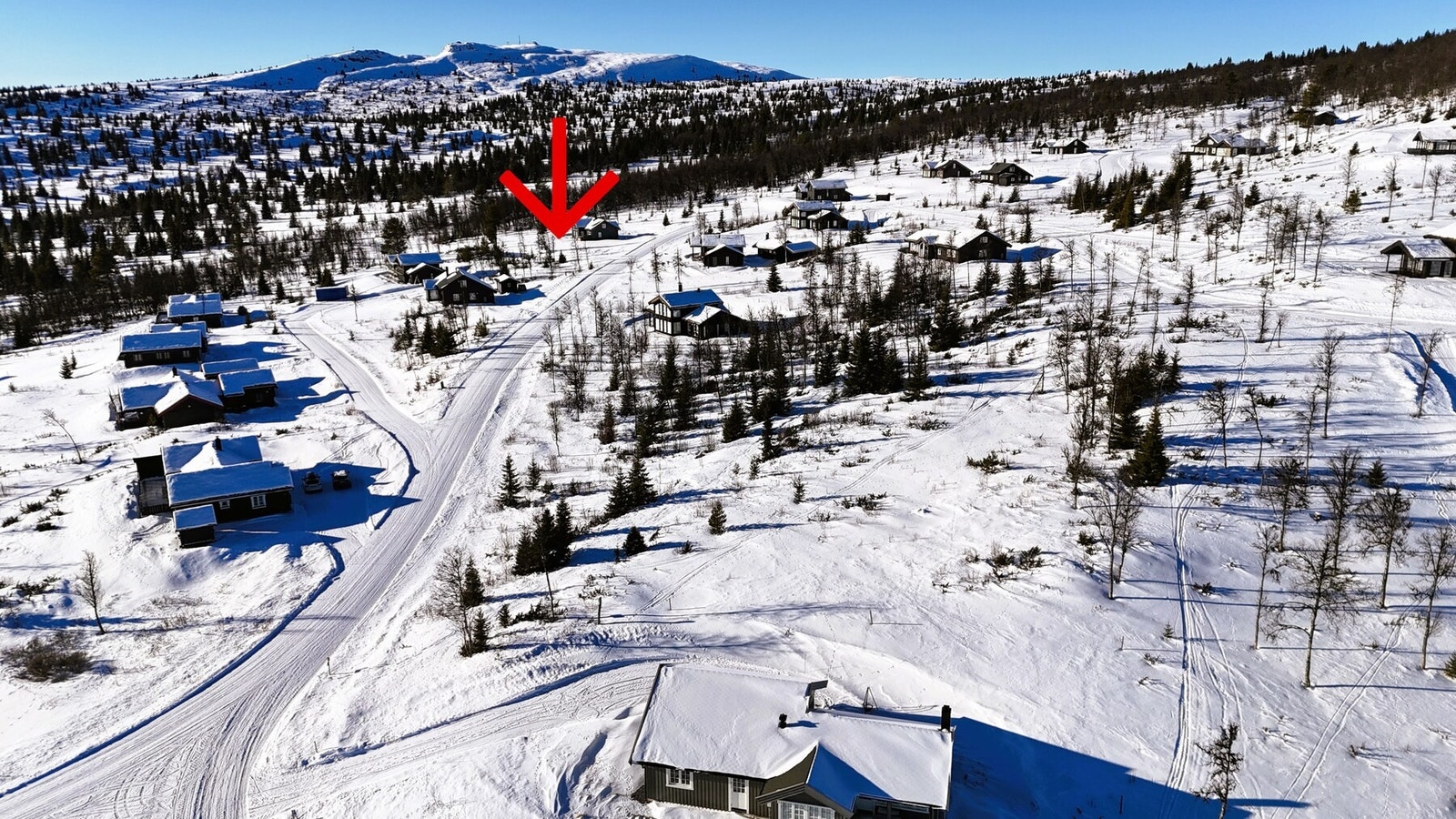 Pilen markerer hvor skiløypen starter. Galleribilde