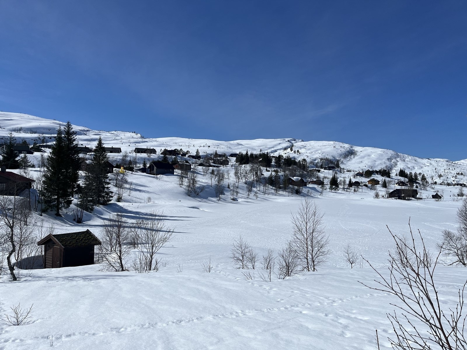 Vinterstemning i området, privat foto. Galleribilde