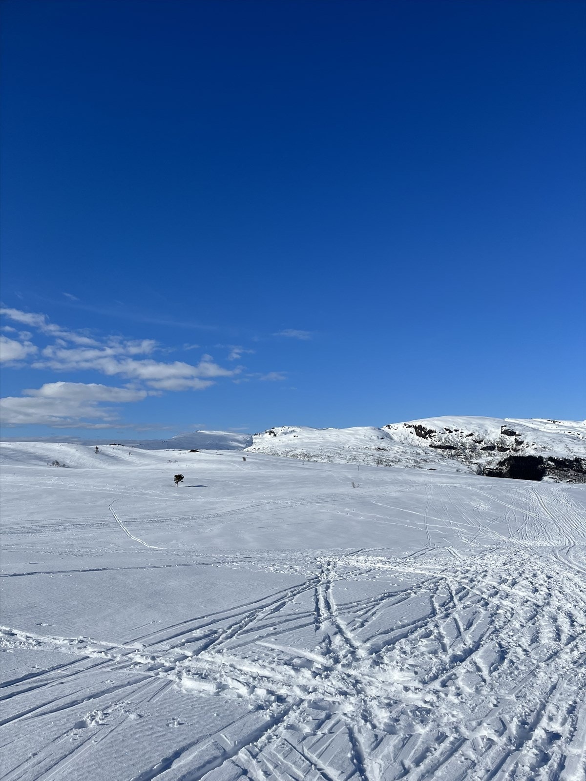 En av de mange skiløypene i området. Privat foto. Galleribilde