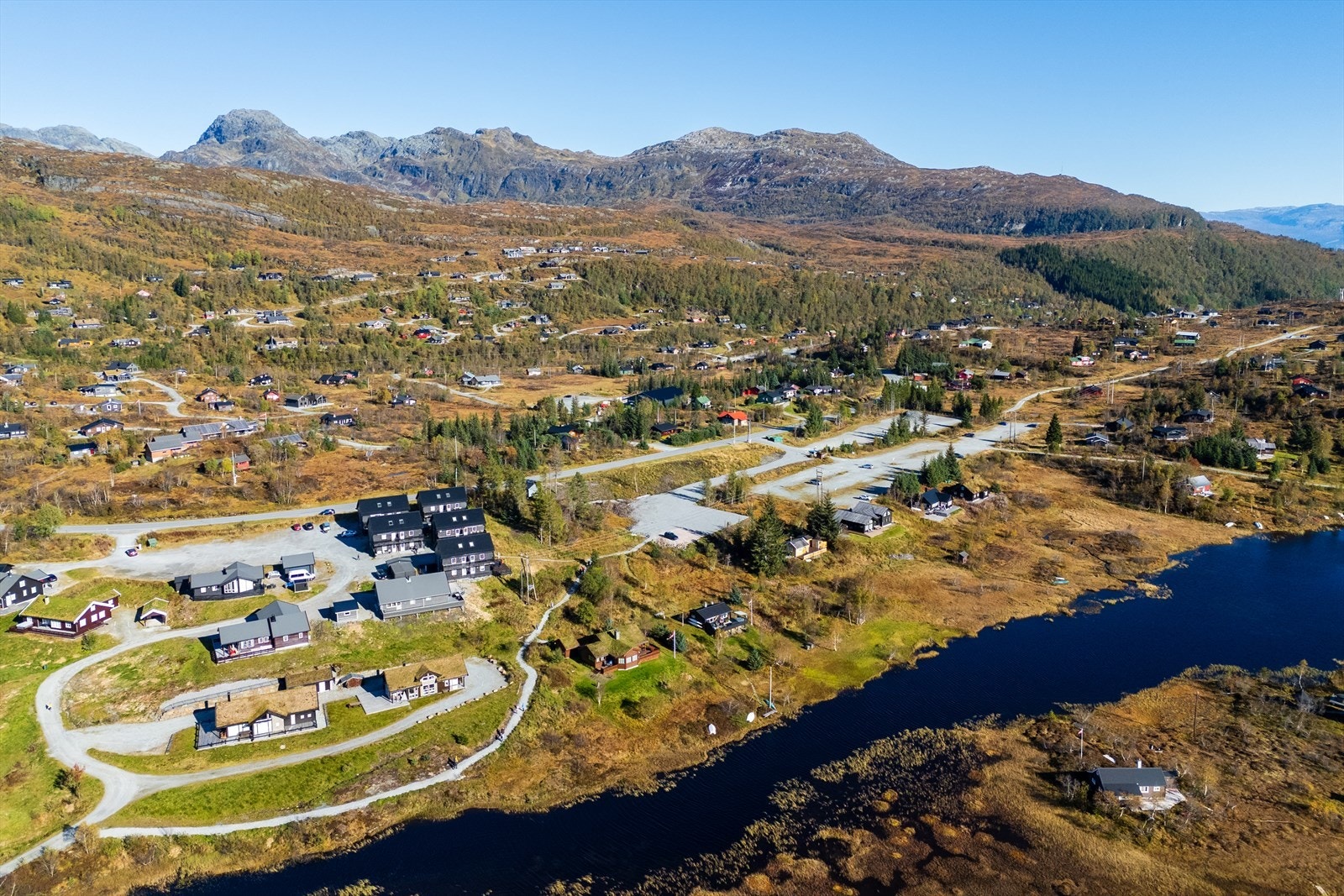 Vakre Kvamskogen. Galleribilde