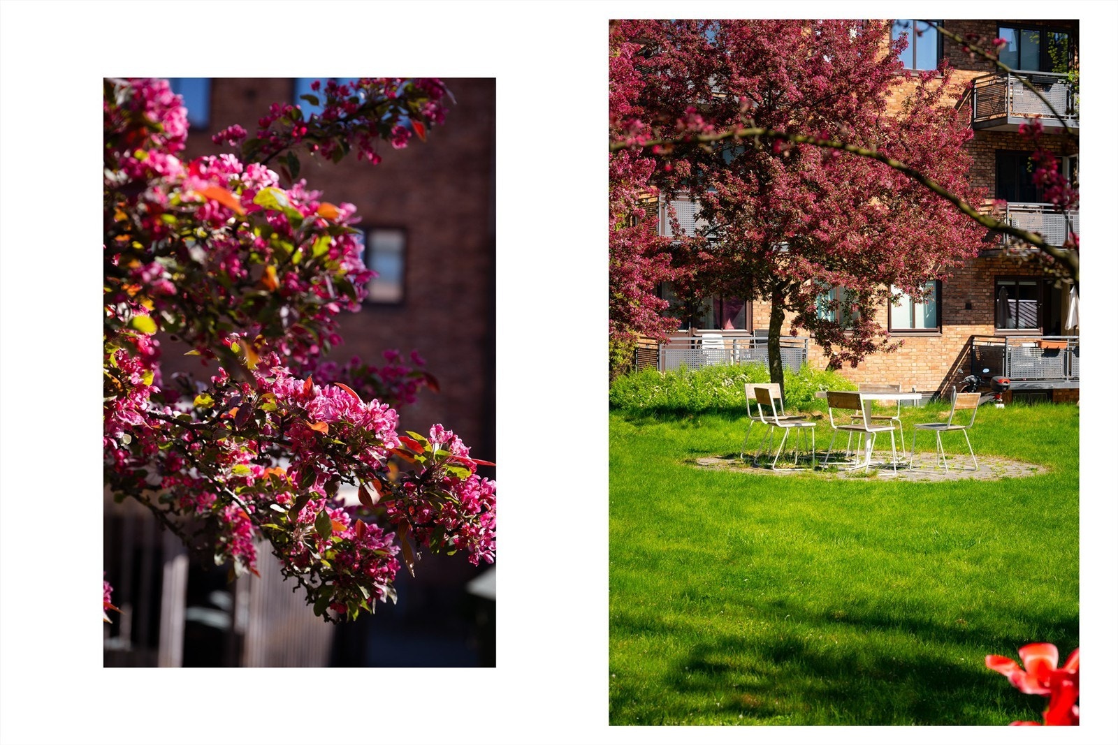 Usjenert og trafikkstille bakgård Galleribilde