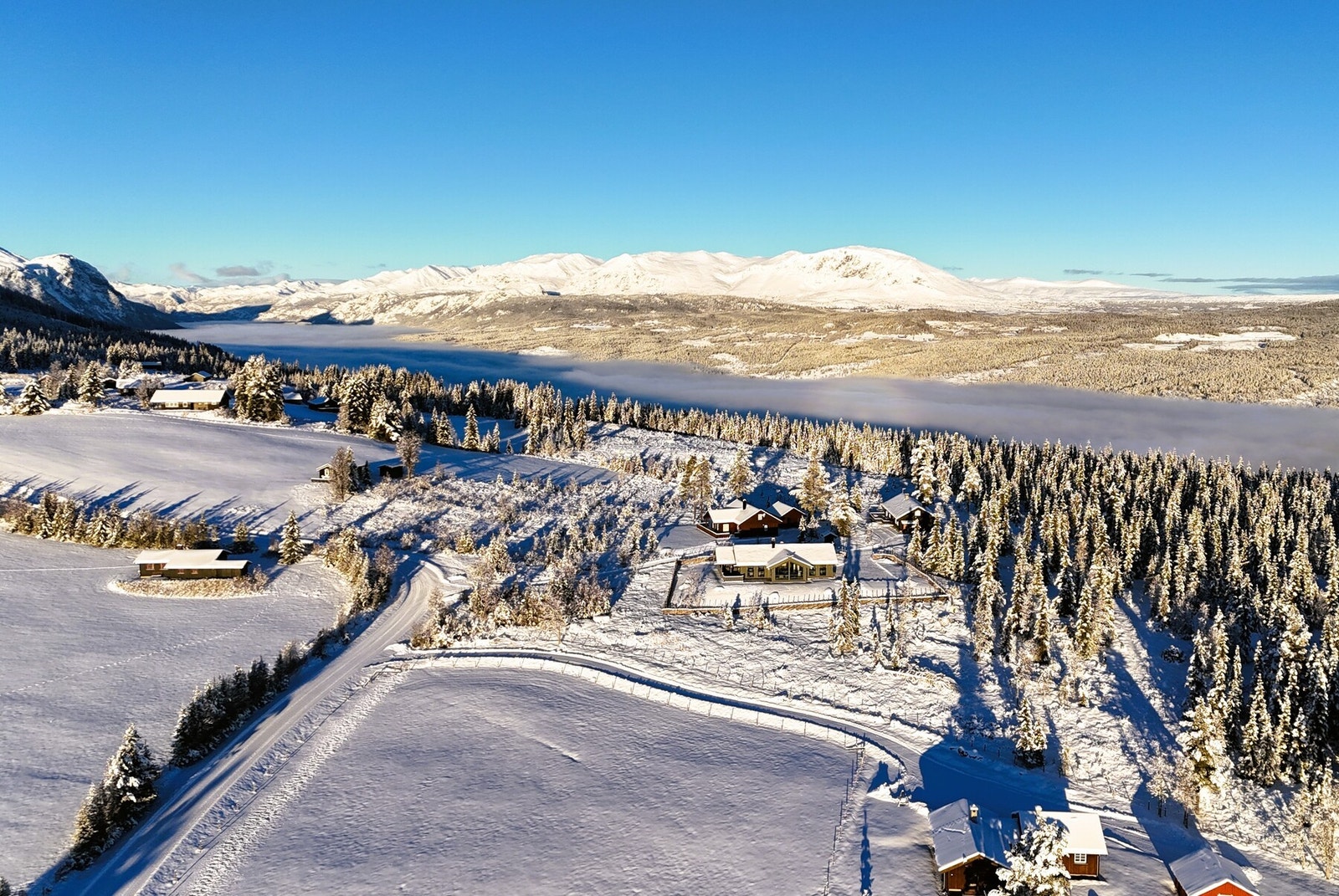 Fantastisk område Galleribilde