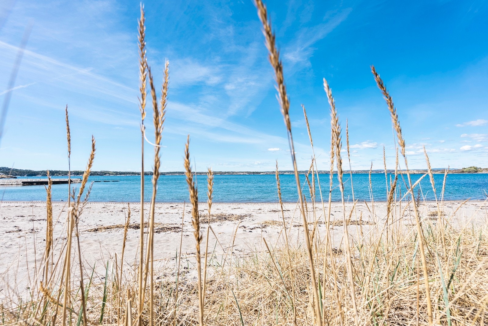 Samt flere flotte badeplasser på rekke og rad på Vesterøya Galleribilde