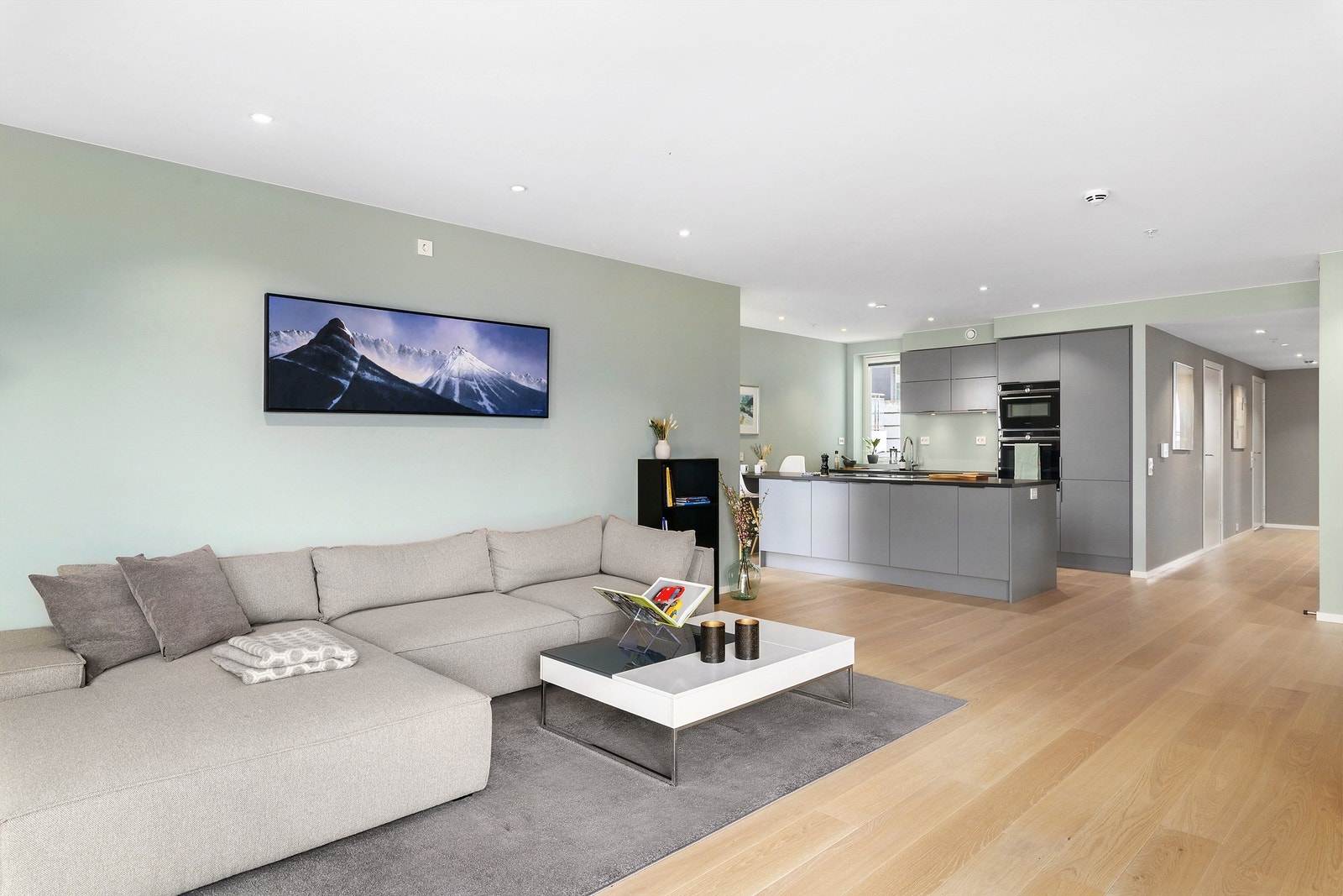 1-stavs Eik Lyefjell Grå på alle gulv i leiligheten utenom bad, spotter i tak Galleribilde