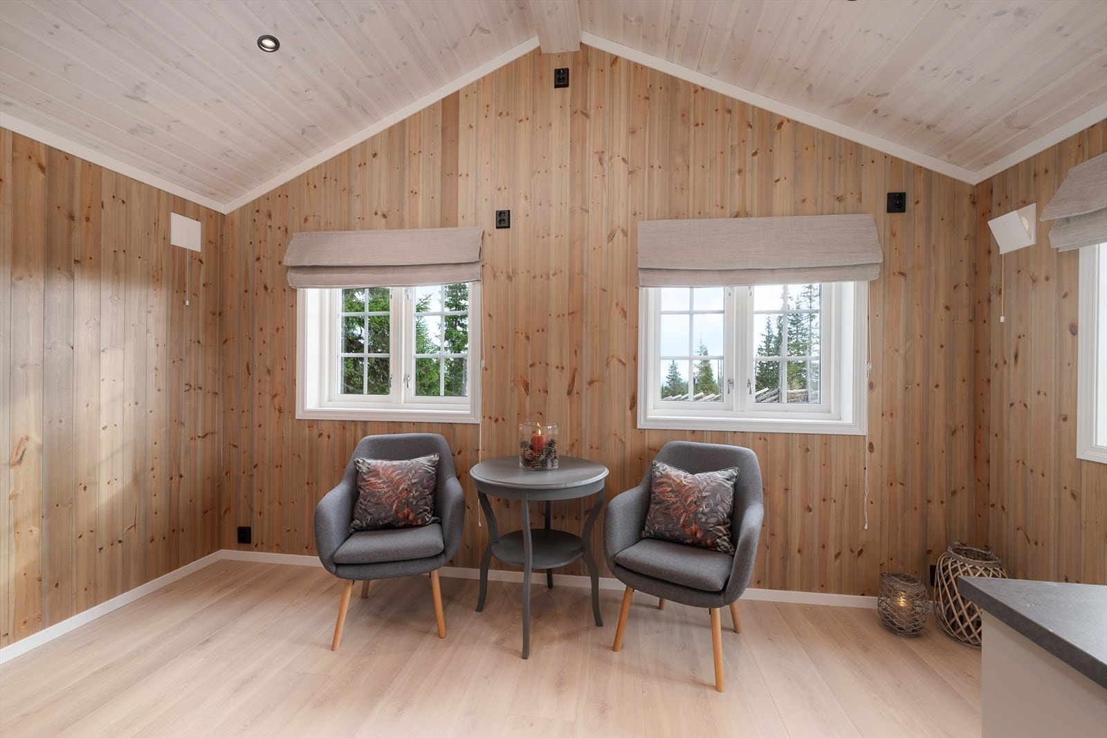 Nytt og velutstyrt anneks med et hyggelig oppholdsrom. God takhøyde og fint lys inn i rommet. Galleribilde