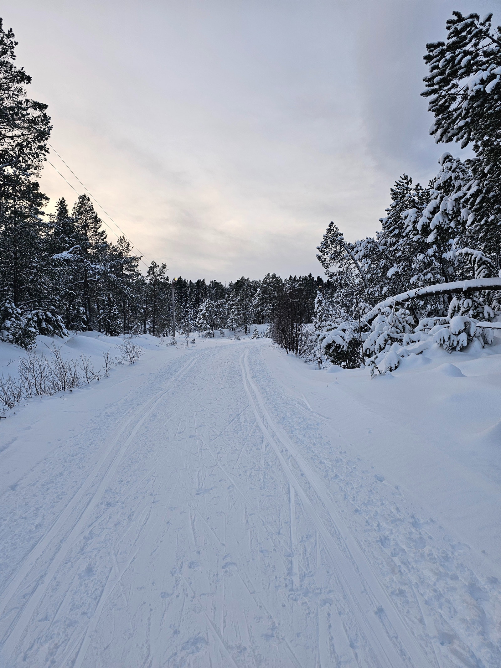 Langrennsløyper 200 meter fra huset. Galleribilde