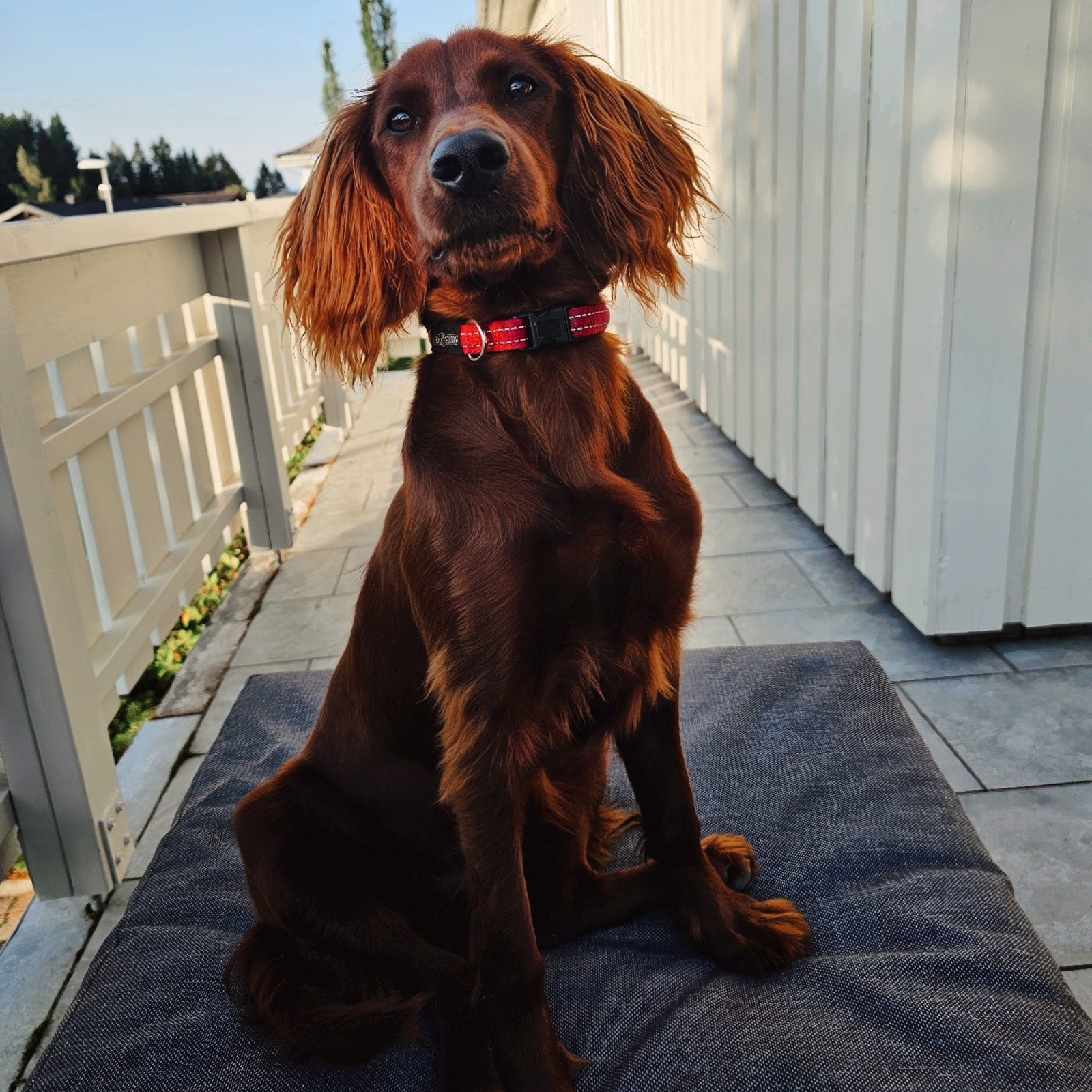 Solrik plass. Galleribilde