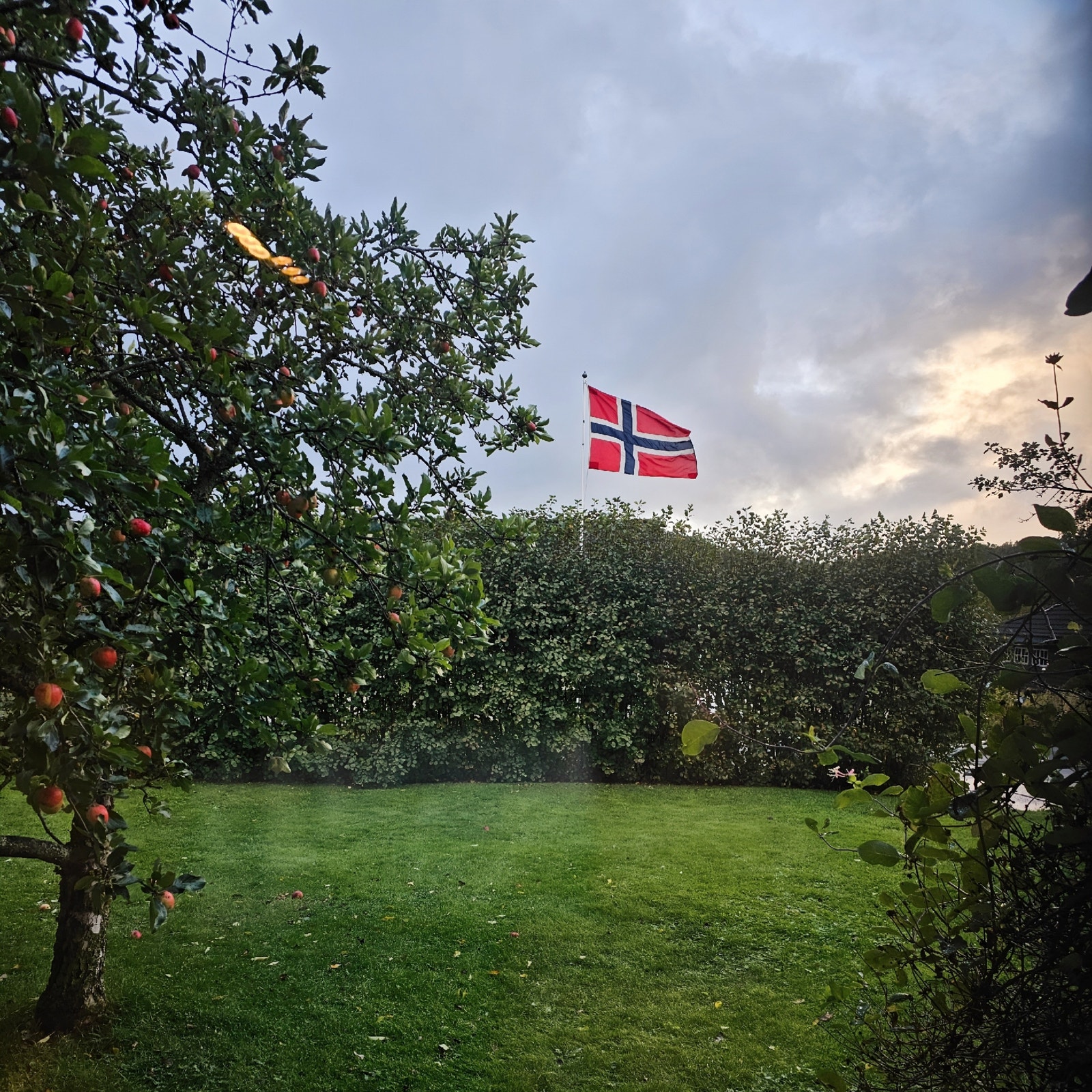 Utsikt fra et av soverommene. Galleribilde