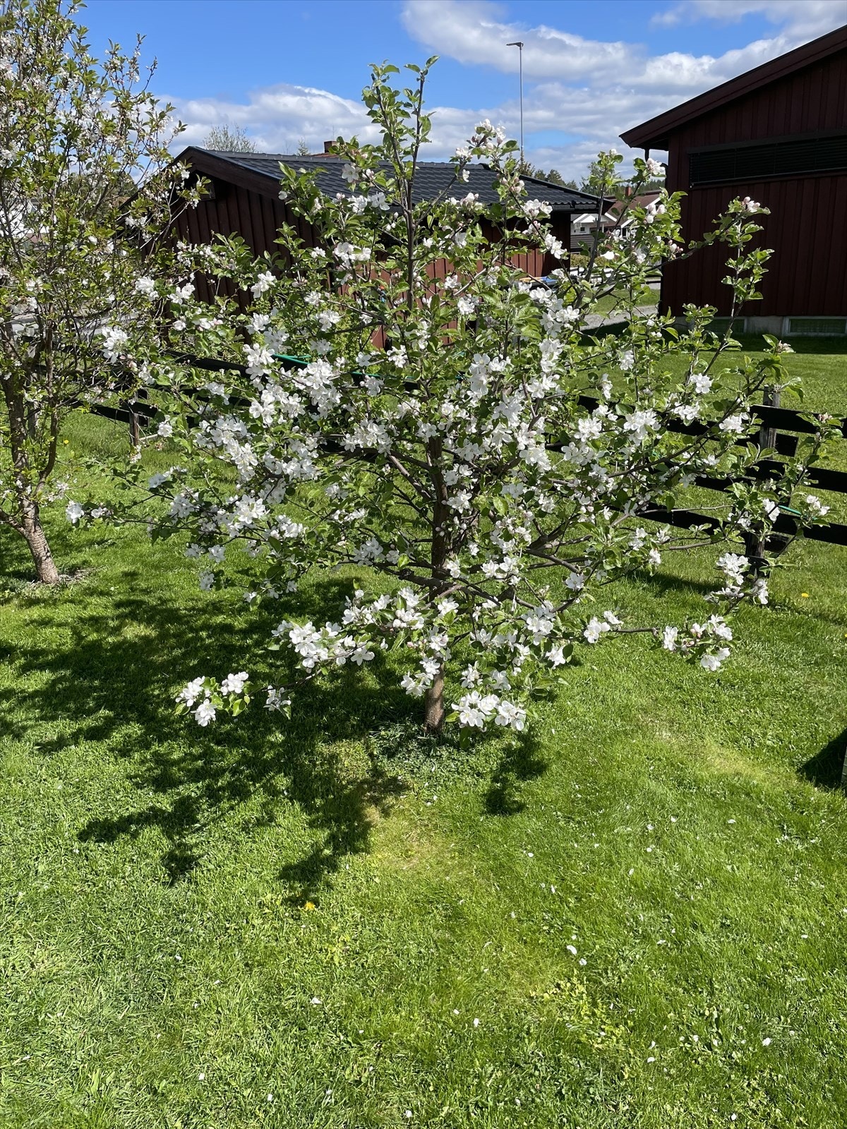 Selgers private bilde. Galleribilde