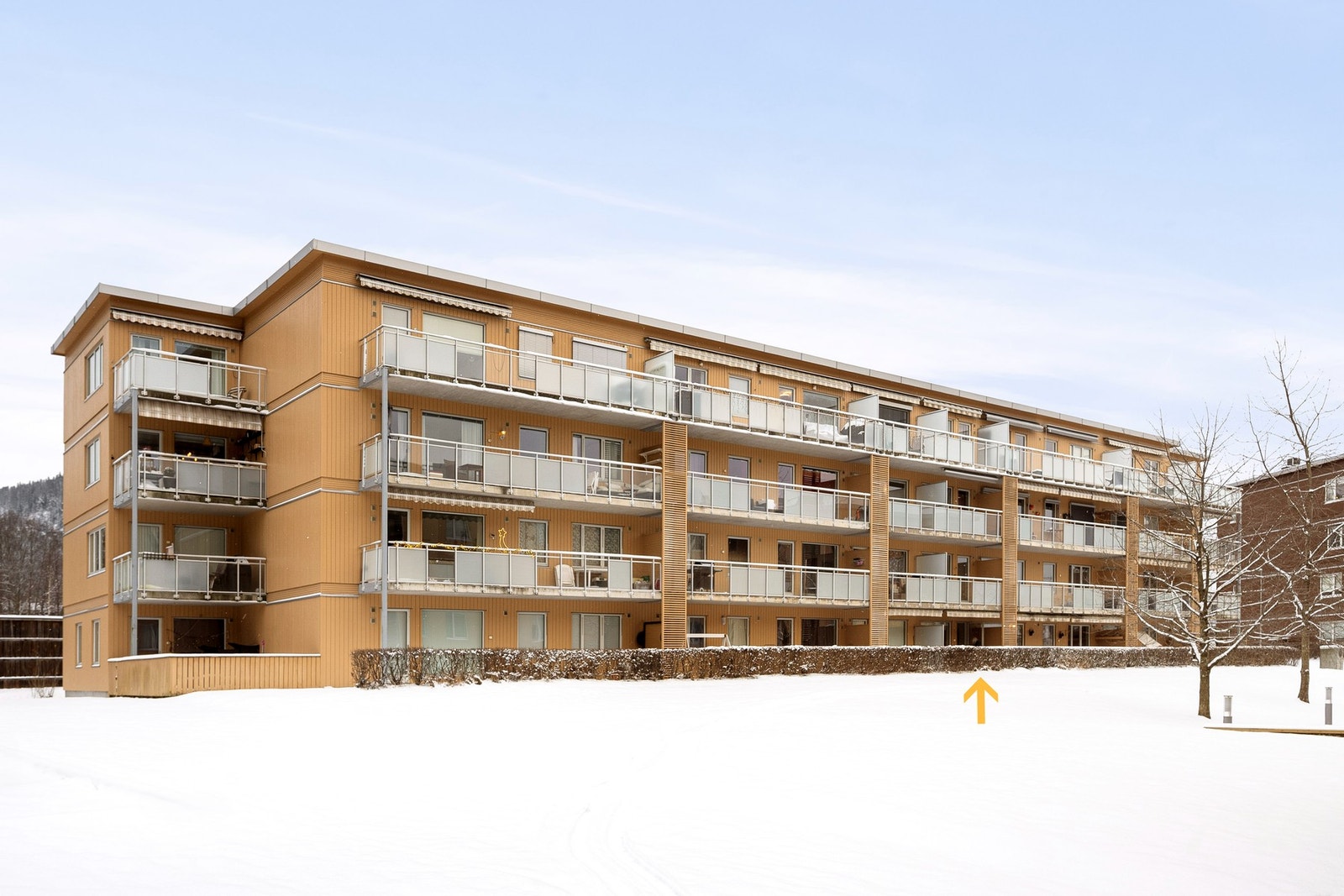 Velkommen til en hyggelig visning! Galleribilde