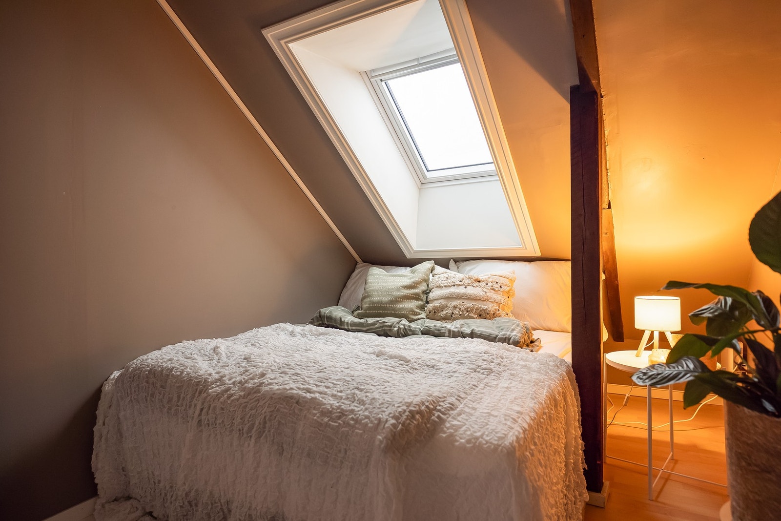 Behagelig rom med naturlig innslipp av lys. Galleribilde