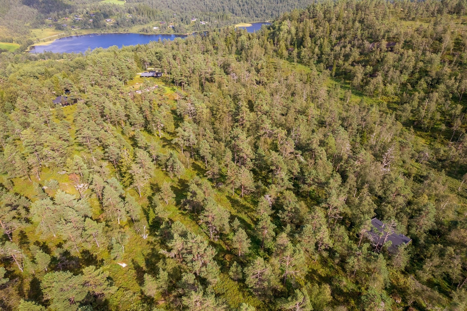 DJI 0510 Galleribilde